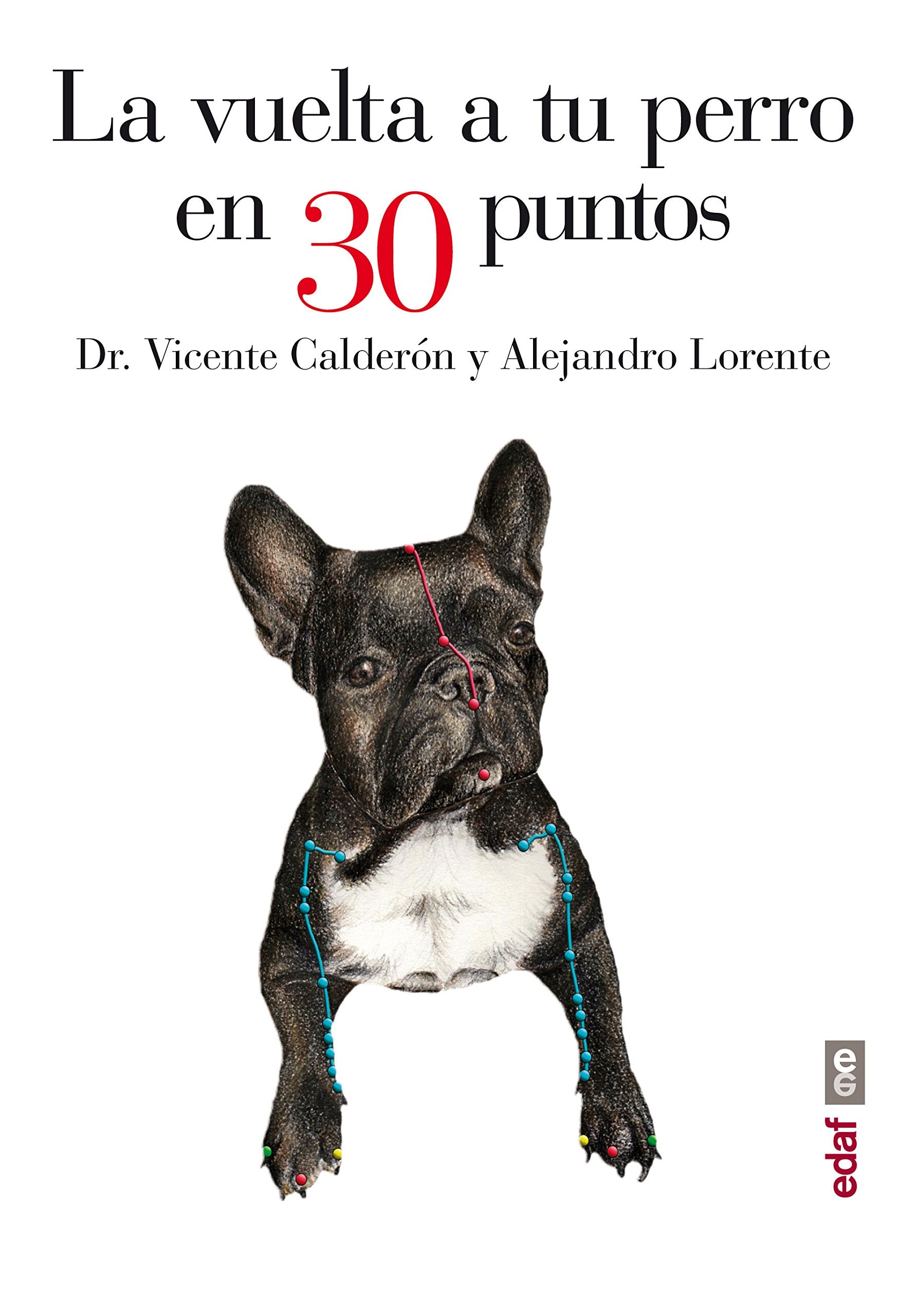 Product Image: La vuelta a tu perro en 30 puntos