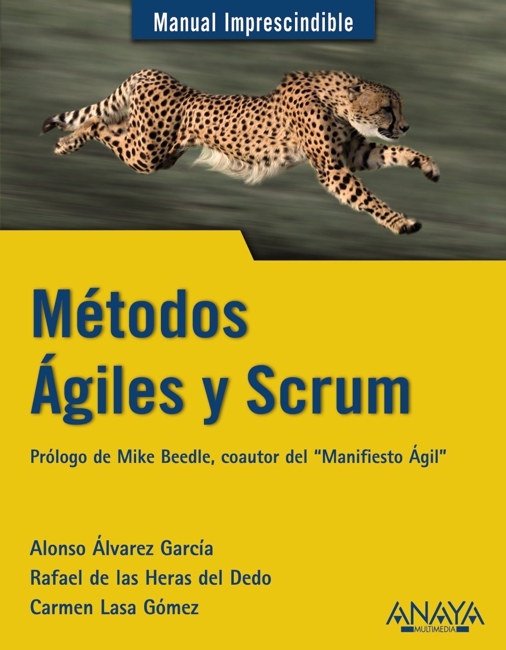 Lasa Gómez, C: Métodos Ágiles y Scrum book