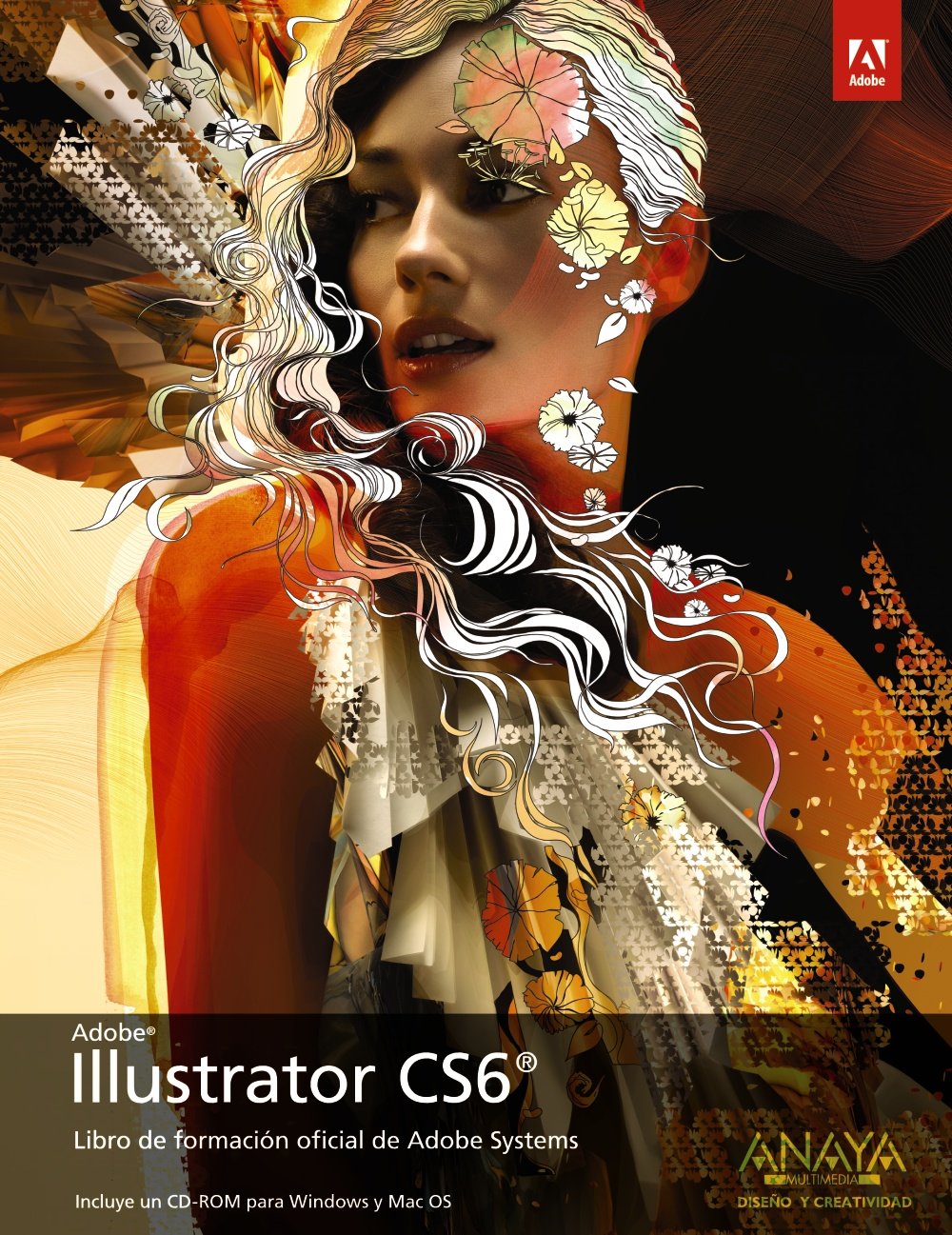 Illustrator CS6 (Diseño Y Creatividad) Computer Science