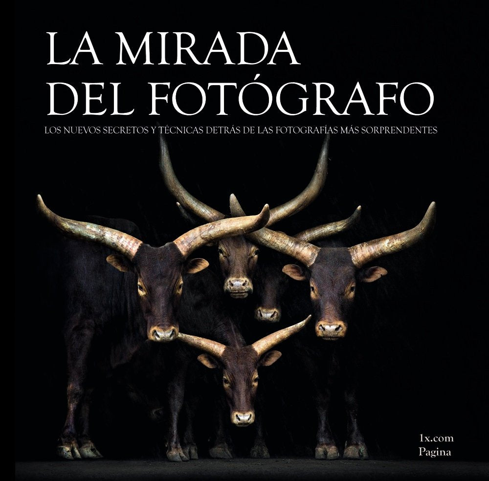 La mirada del fotógrafo / The photographer's eye book
