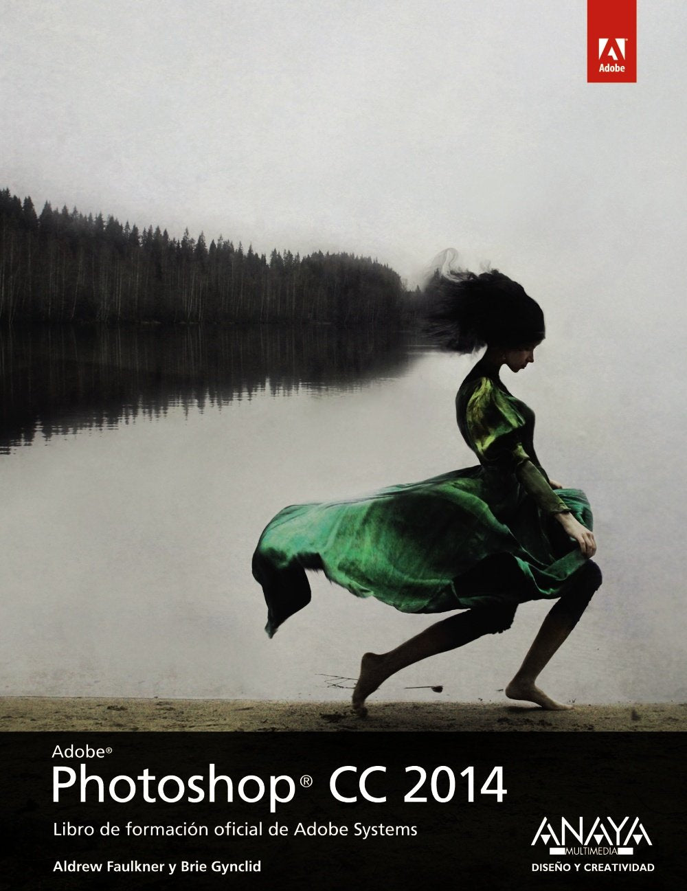 Photoshop CC 2014 (DISEÑO Y CREATIVIDAD) book
