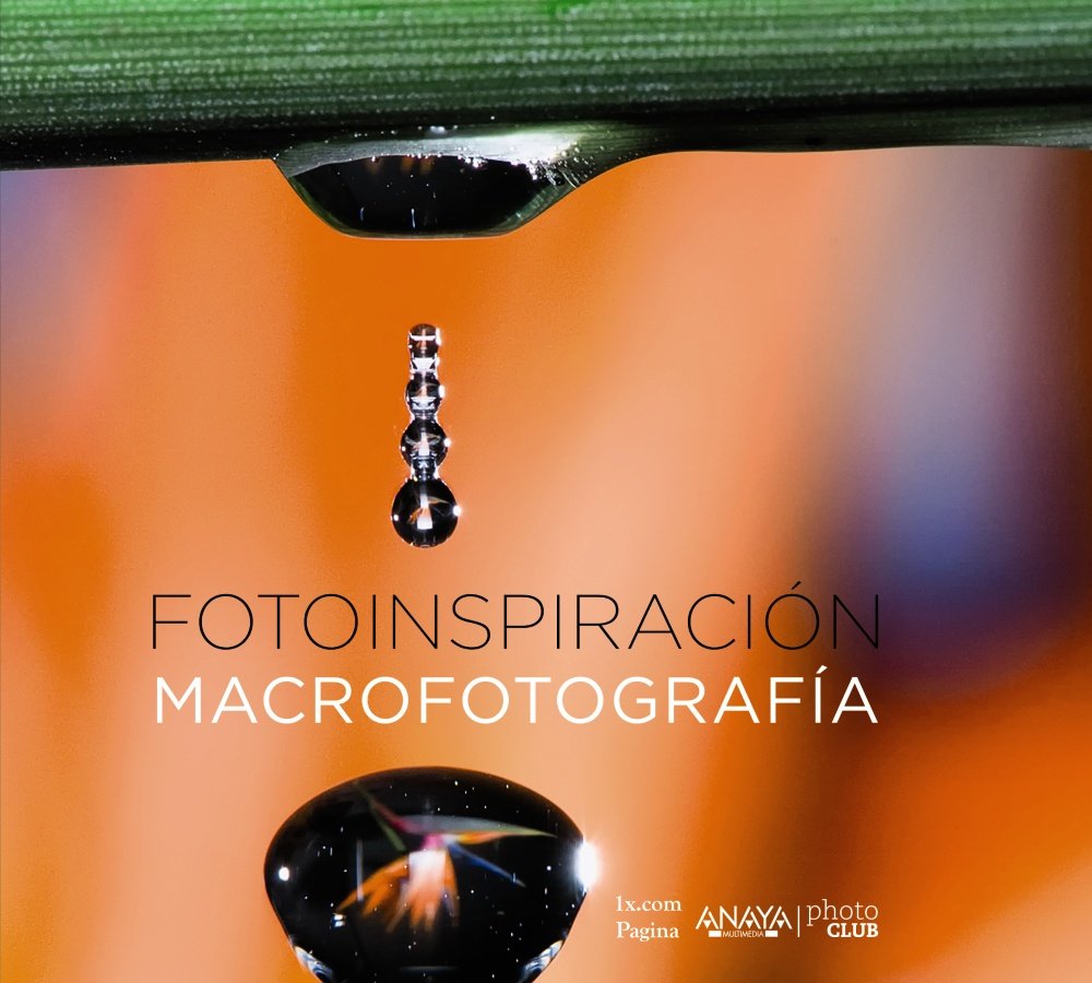 Fotoinspiración : macrofotografía Social Sciences