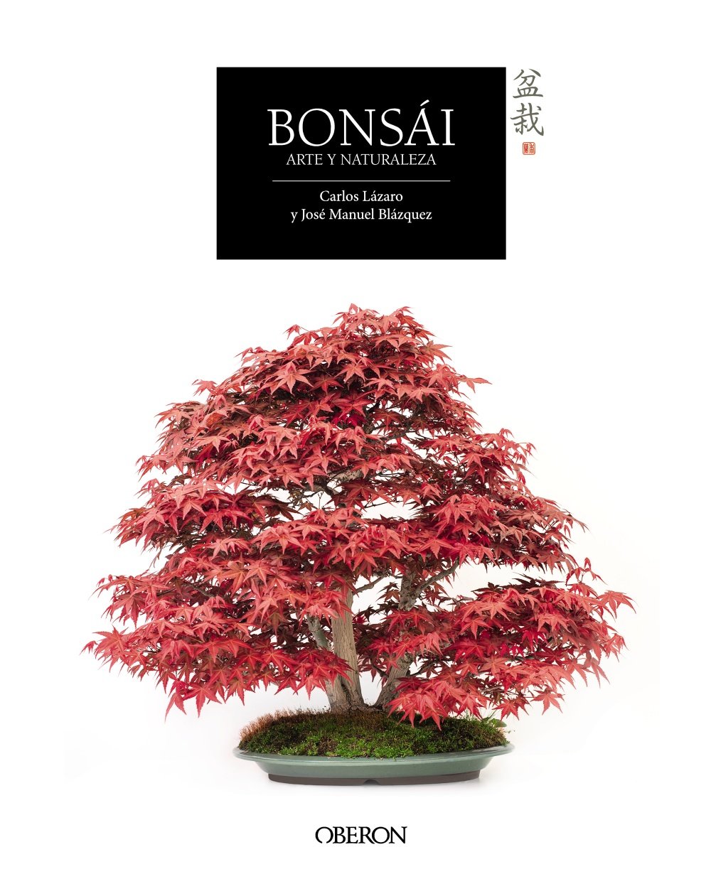 Bonsái: Arte y naturaleza book