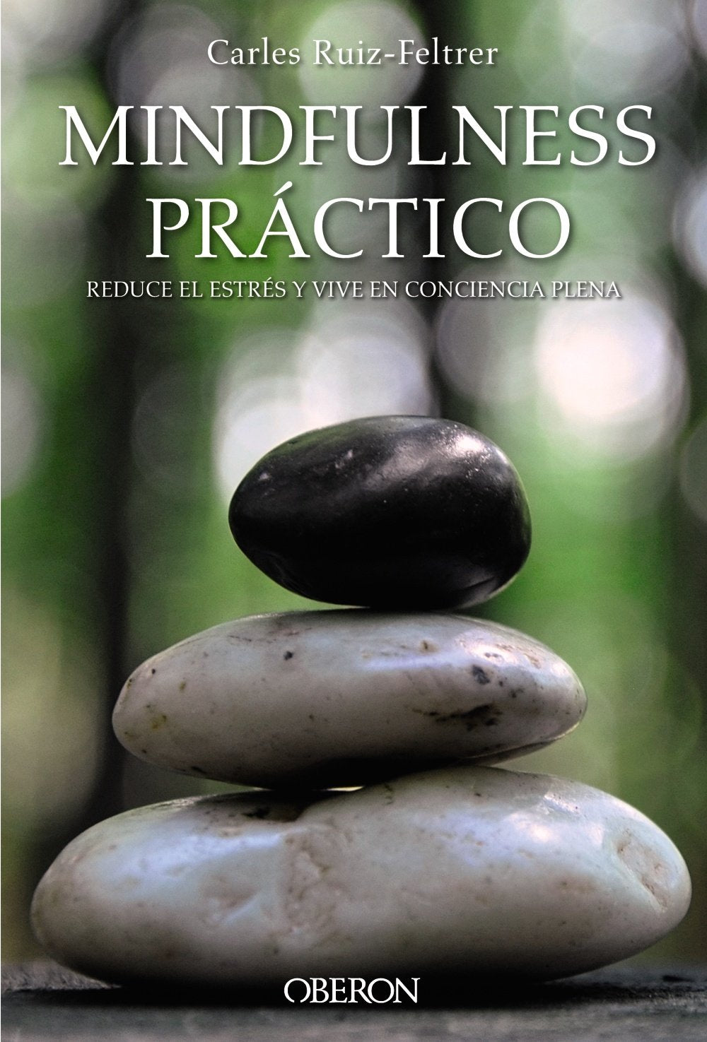Mindfulness práctico : reduce el estrés y vive en conciencia plena (Libros singulares) Social Sciences