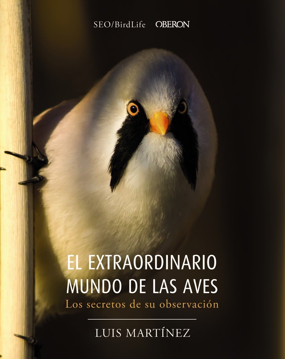El extraordinario mundo de las aves : los secretos de su observación (Libros singulares) Hobbies & Crafts