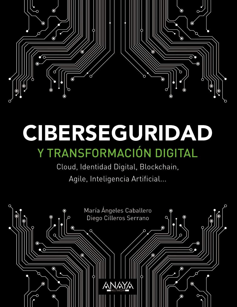 Ciberseguridad y transformación digital: Cloud, Identidad Digital, Blockchain, Agile, Inteligencia Artificial... (TÍTULOS ESPECIALES) Computer Science