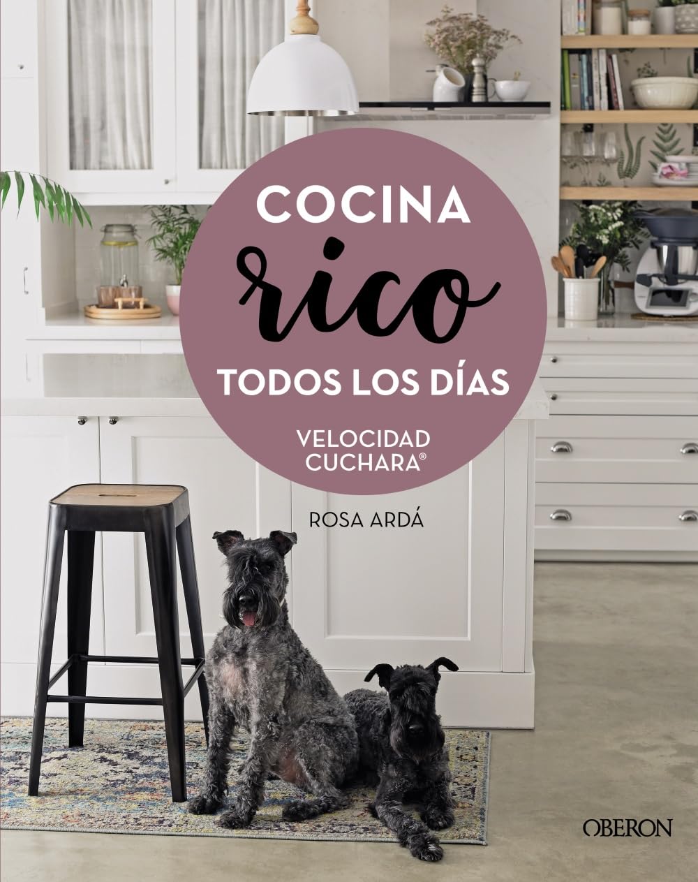 Cocina rico todos los días: Velocidad Cuchara (Libros singulares) Hobbies & Crafts