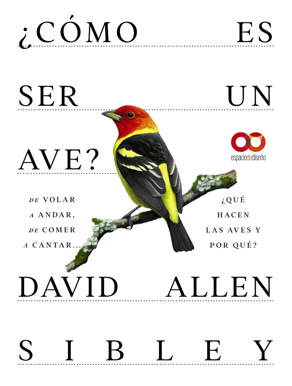 ¿Cómo es ser un ave? De volar a anidar, de comer a cantar... ¿Qué hacen las aves y por qué? book