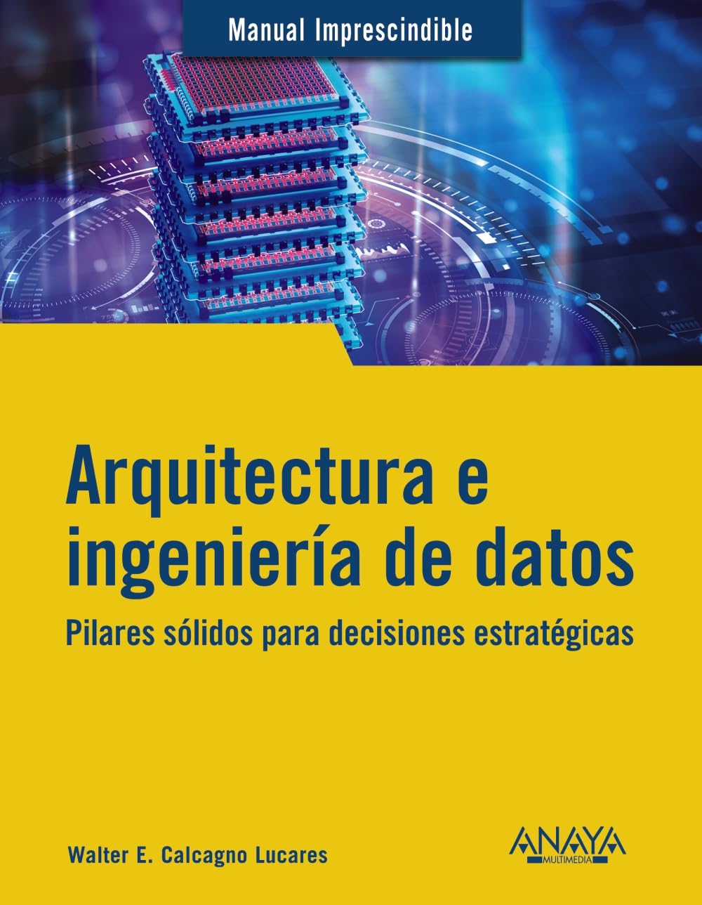 Arquitectura e ingeniería de datos: Pilares sólidos para decisiones estratégicas book