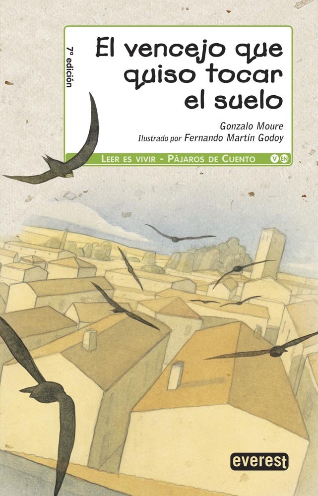 El vencejo que quiso tocar el suelo book