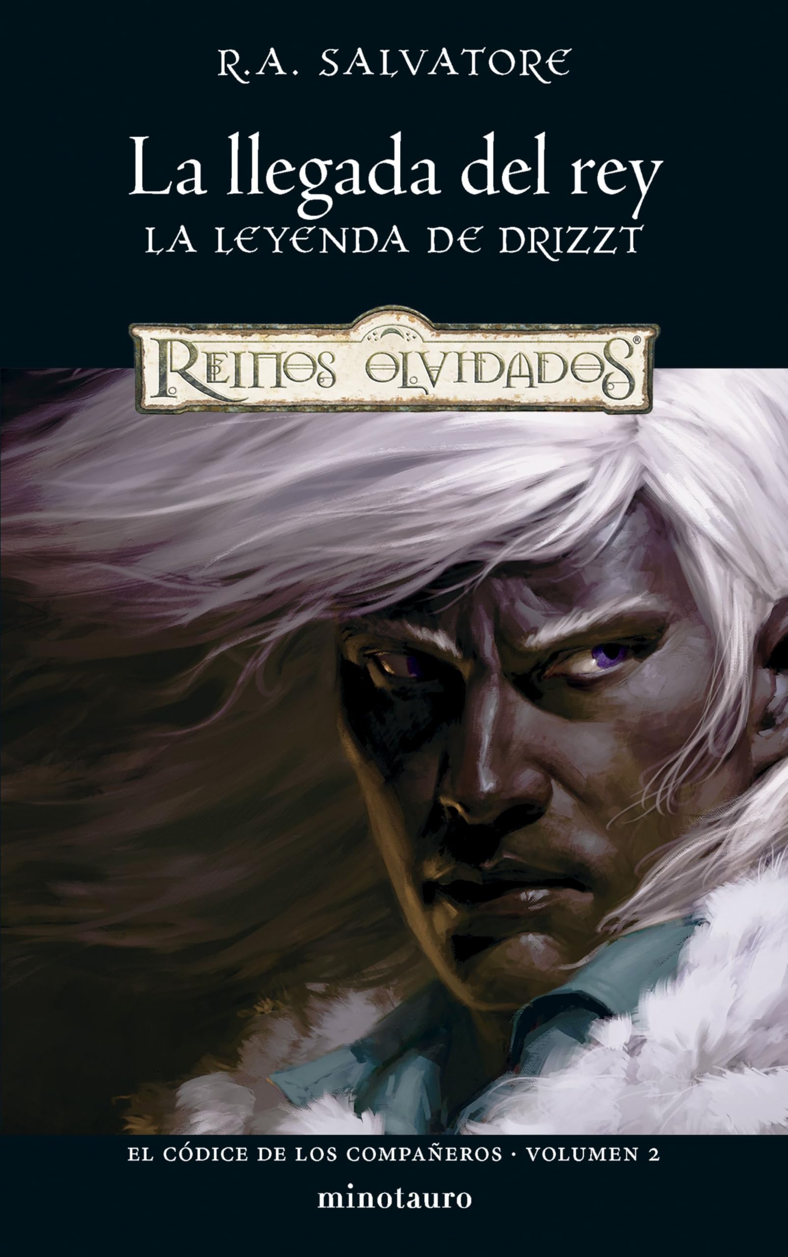 El códice de los Compañeros nº 02/03 La llegada del rey book