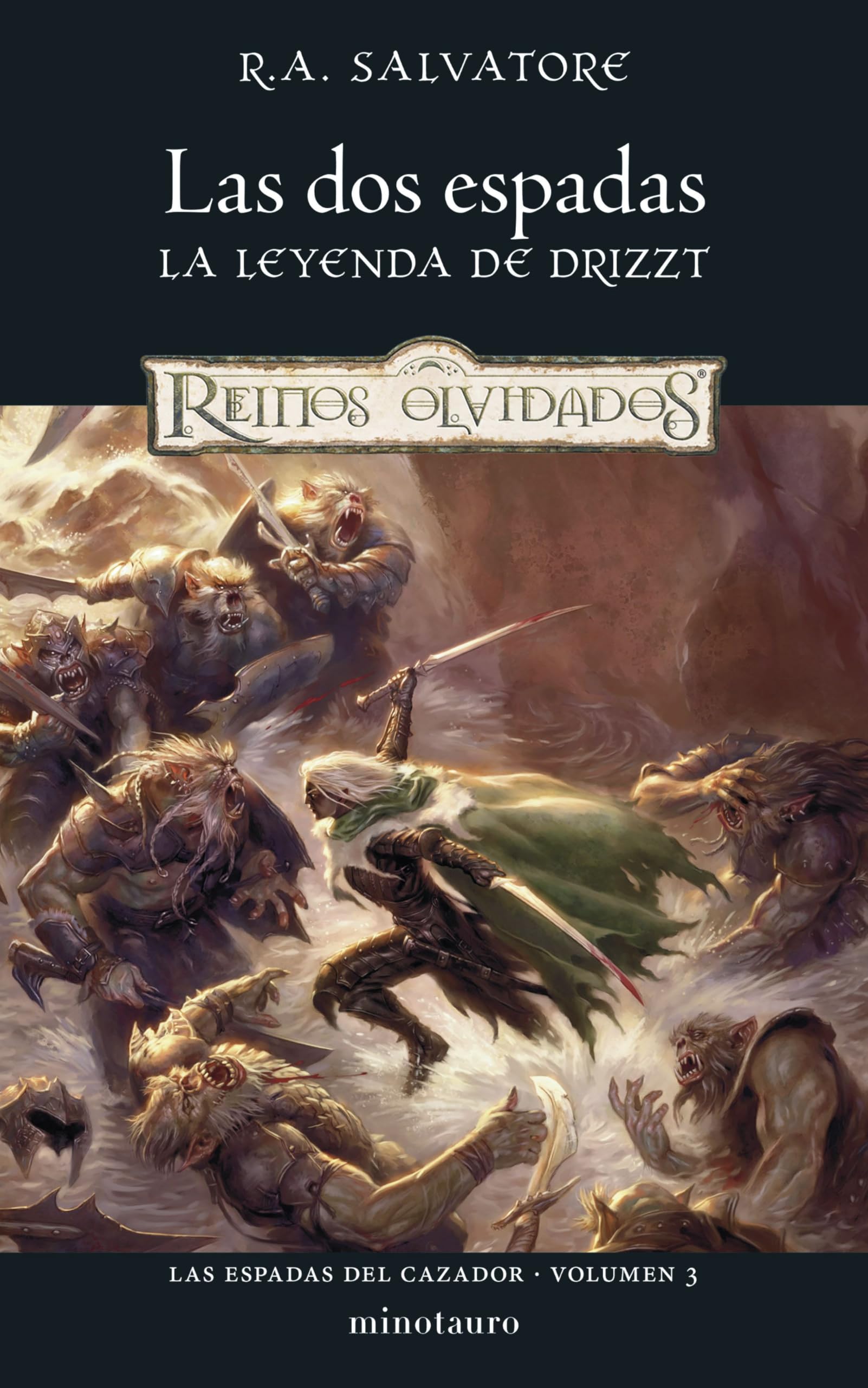 Las Espadas del Cazador nº 03/03 Las Dos Espadas (D&D Reinos Olvidados, Band 3) Fantasy & Sci-Fi