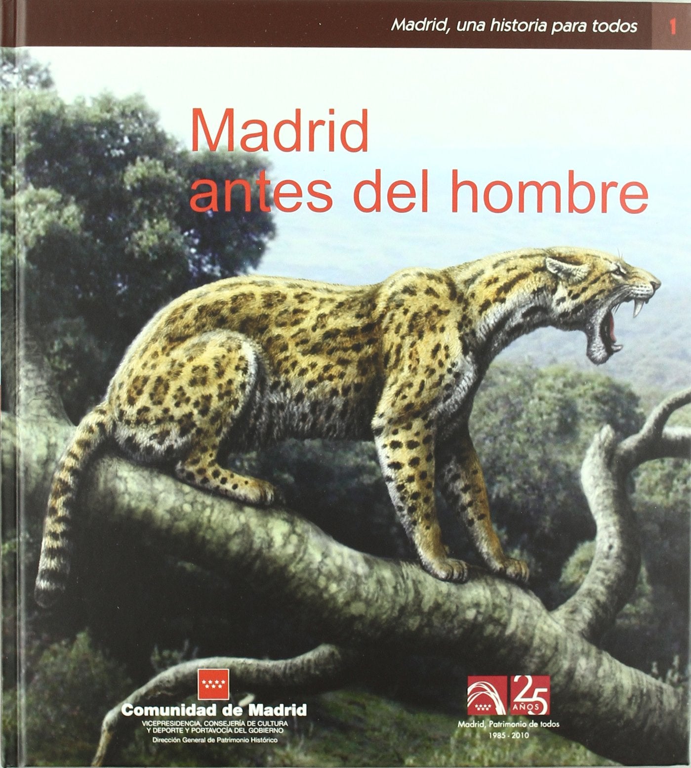 Madrid antes del hombre book