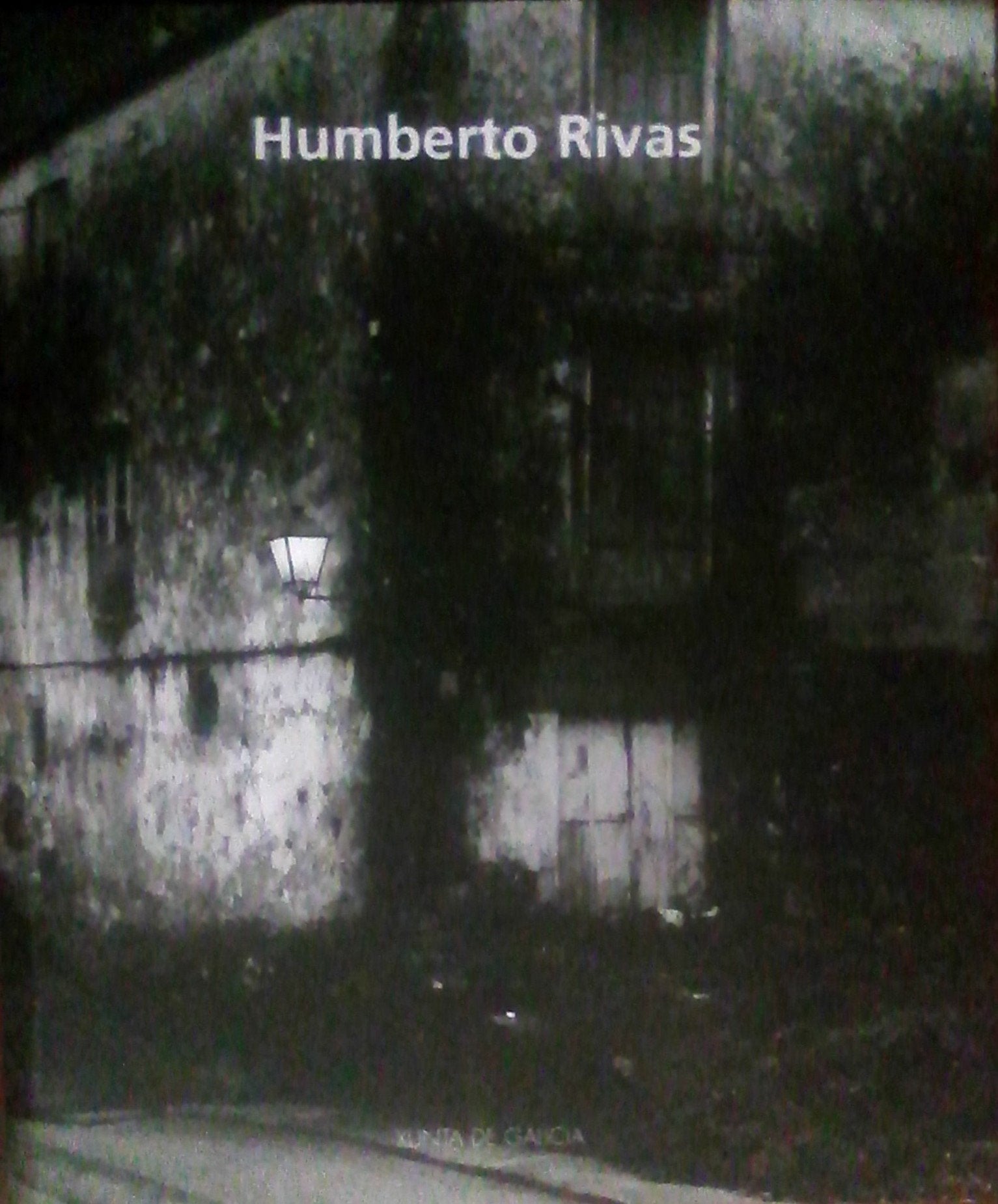 Humberto rivas Books
