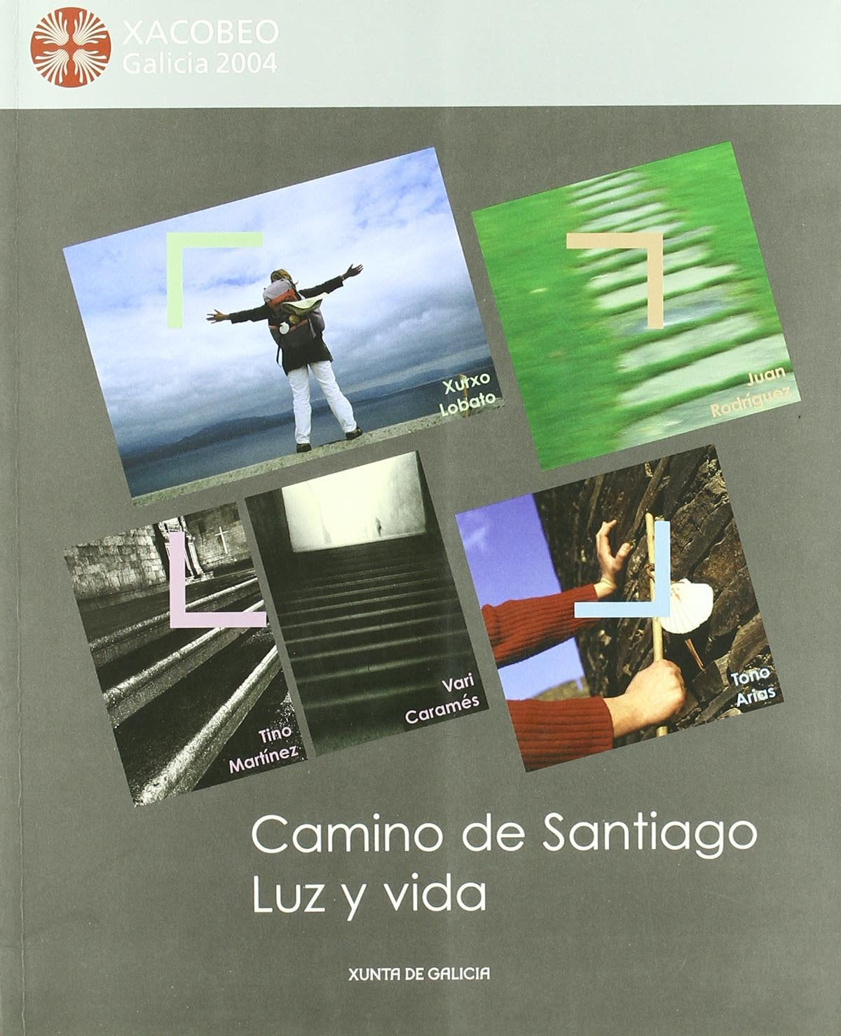 Camino de santiago luz y vida Books