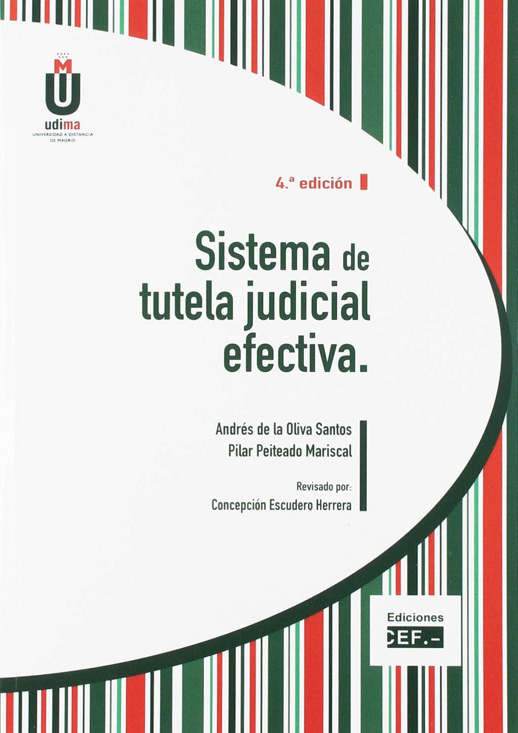 Sistema de tutela judicial efectiva book