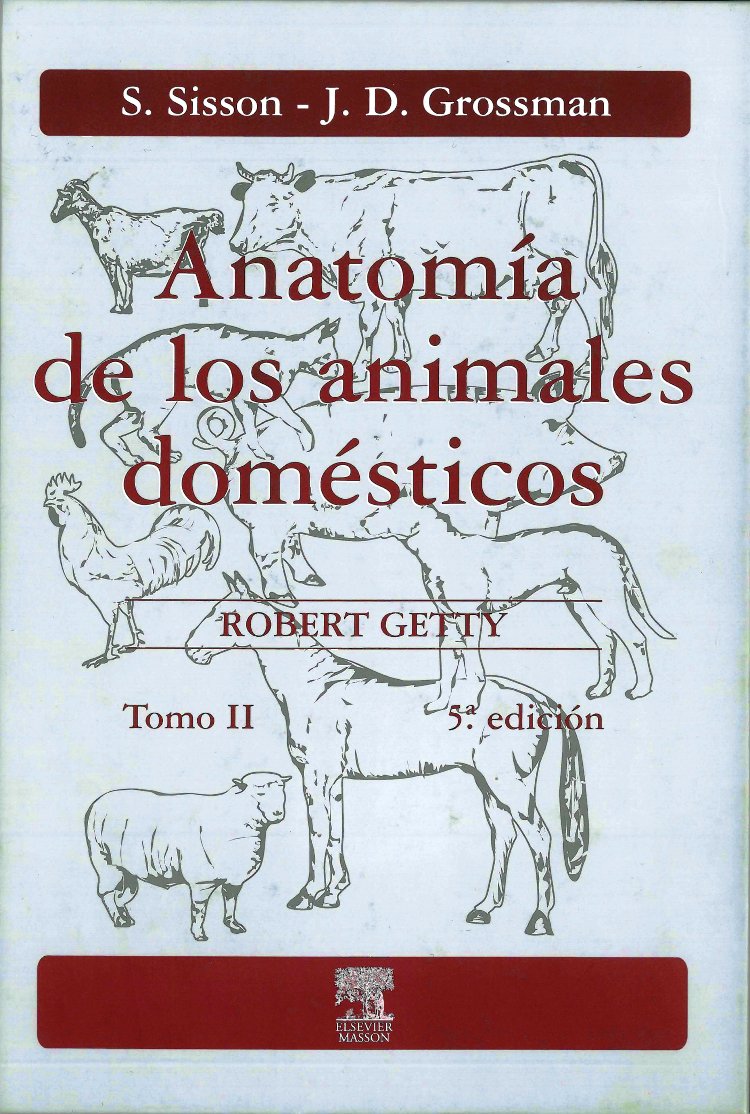 Anatomía de los animales domésticos. Tomo II Medicine