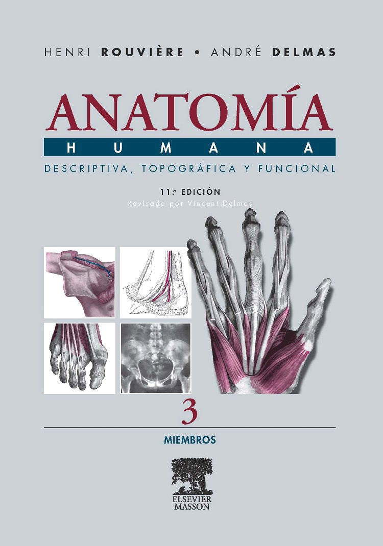 Miembros, sistema nervioso central Medicine