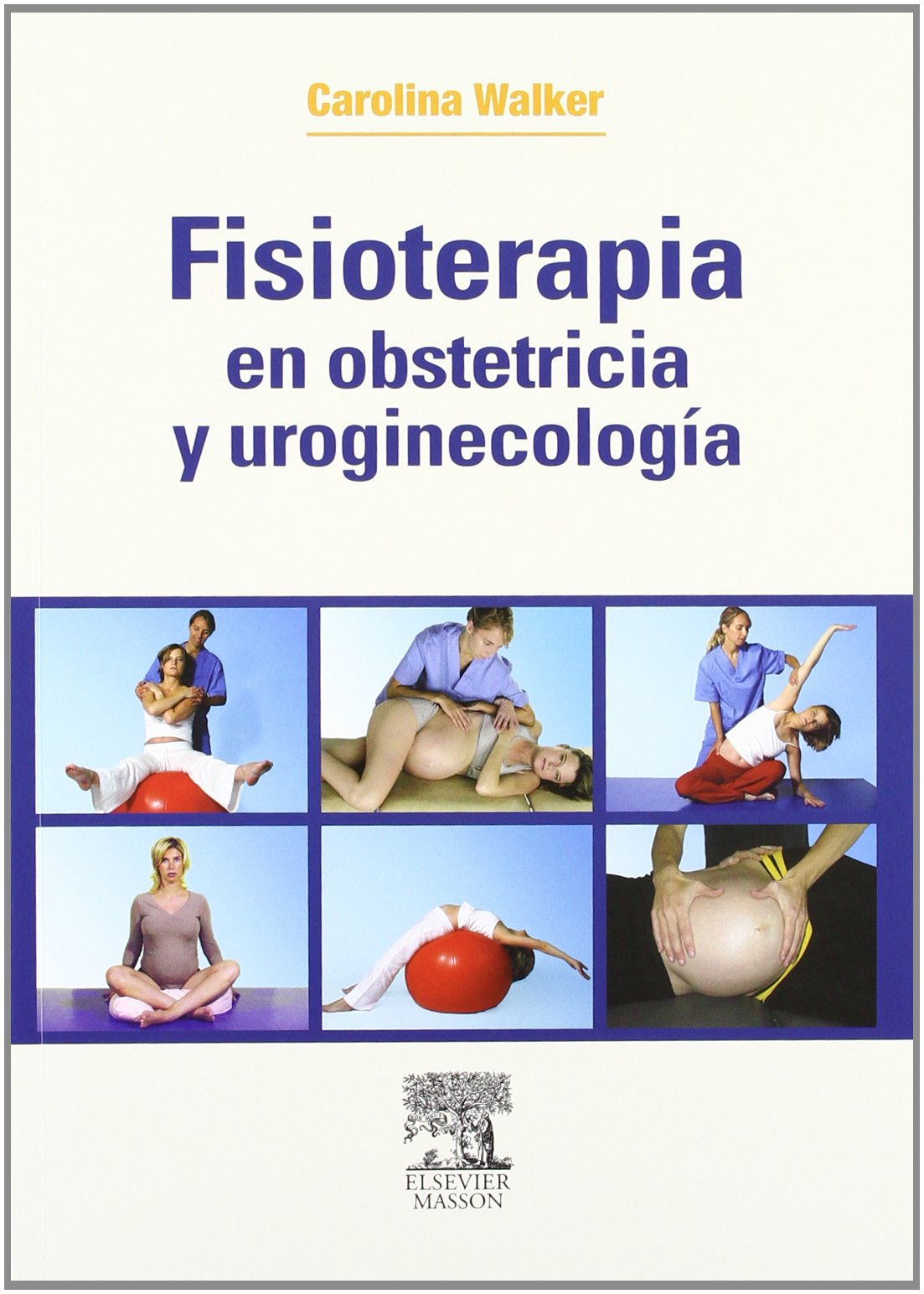 Fisioterapia en obstetricia y uroginecología Medicine