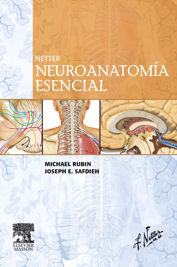 Netter, neuroanatomía esencial Medicine