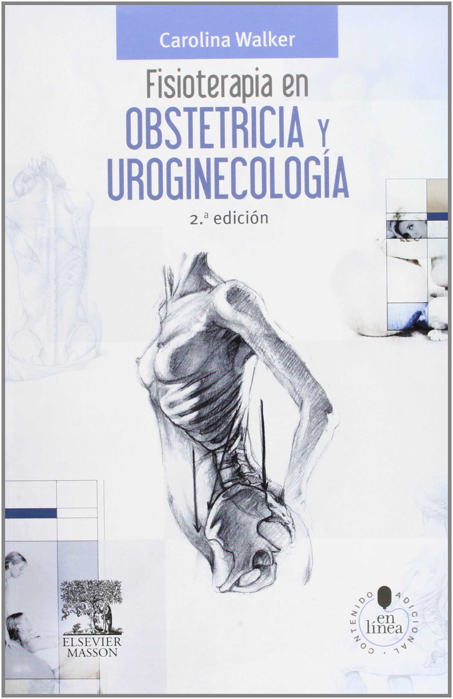 Fisioterapia en obstetricia y uroginecología book