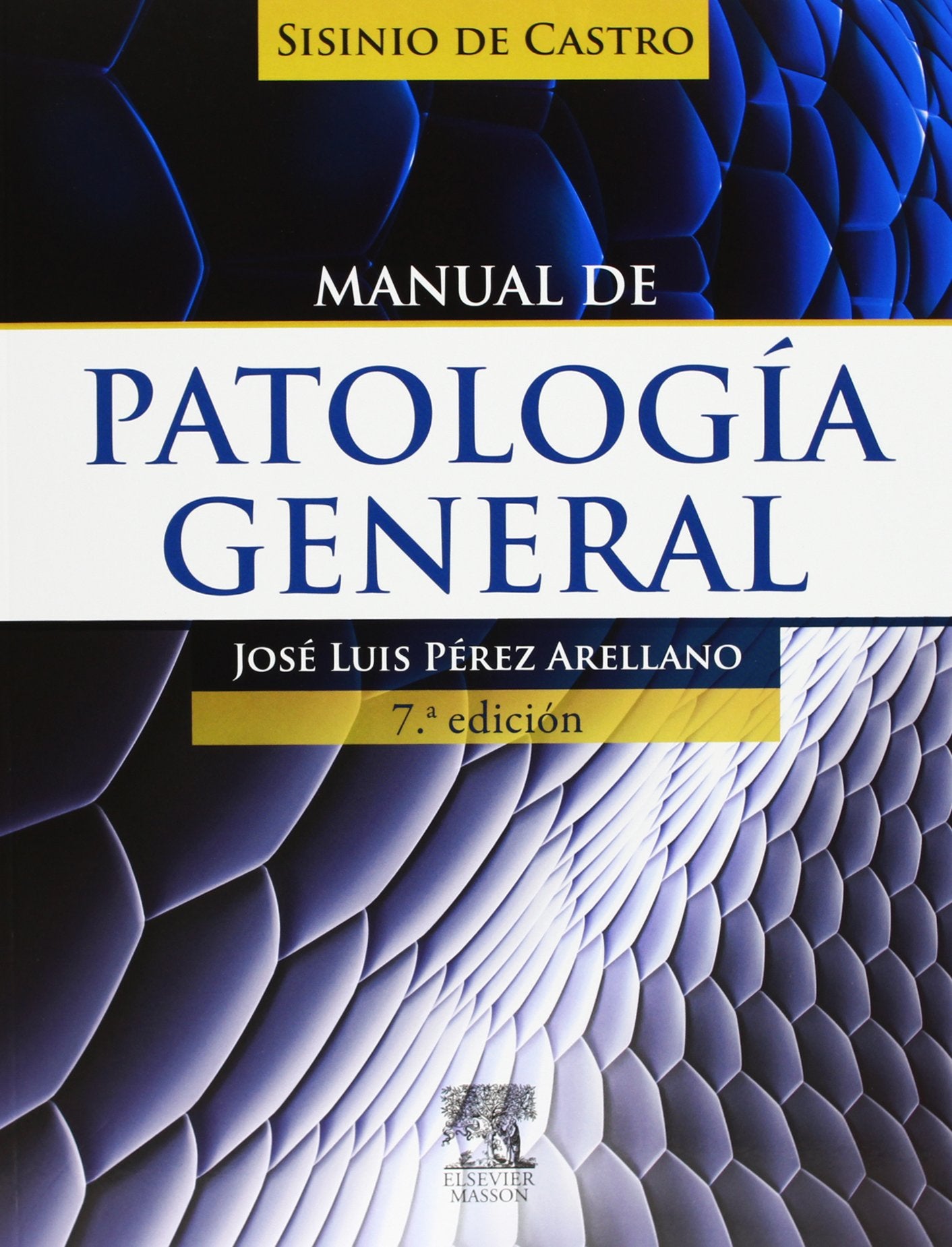 SISINIO DE CASTRO. Manual de patología general (7ª ed.) book