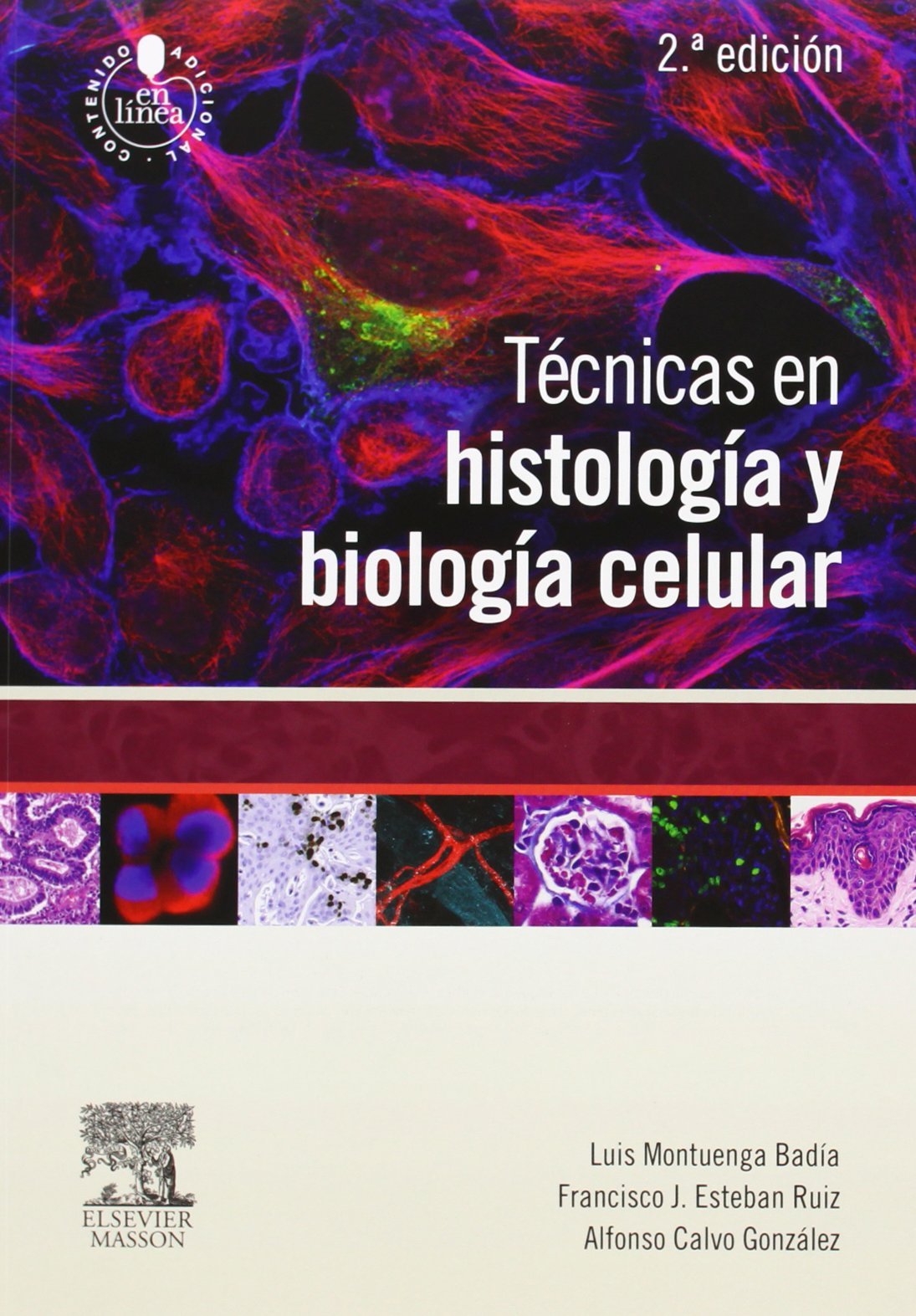 Técnicas en histología y biología celular Medicine