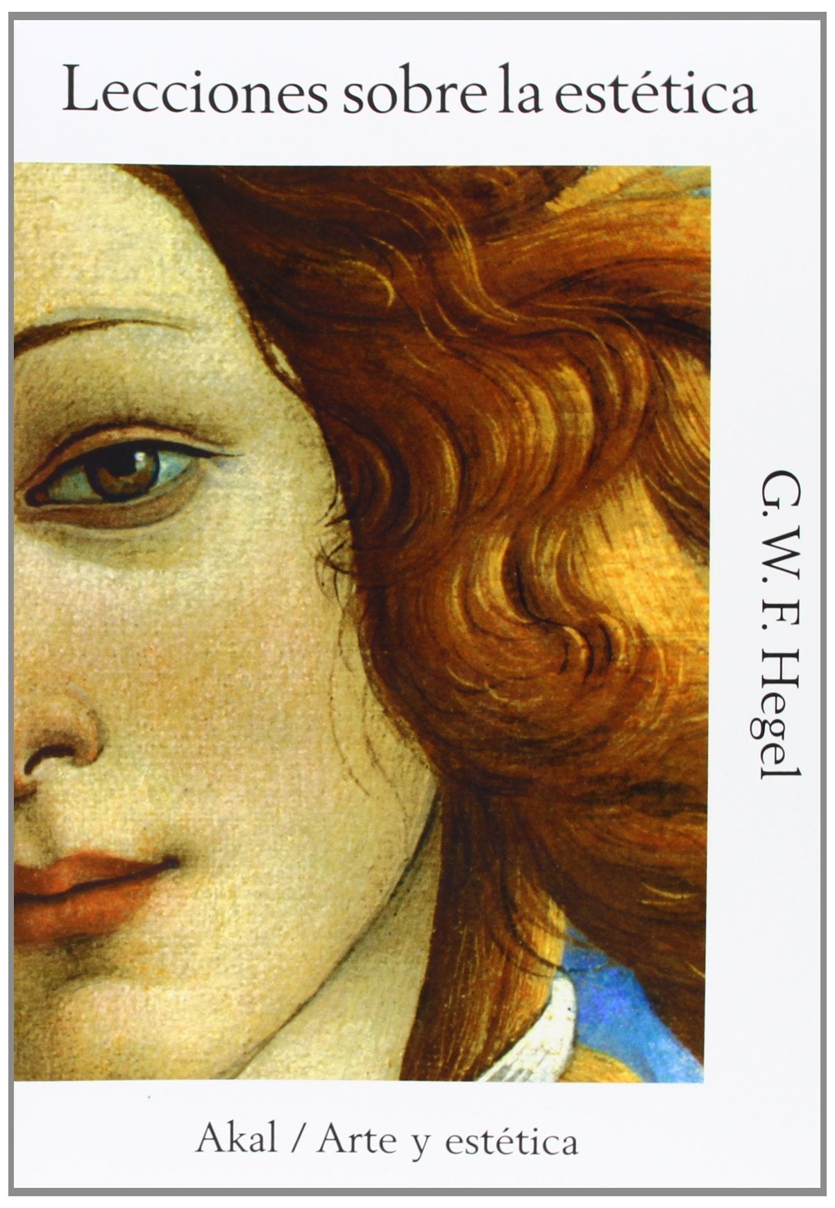 Lecciones sobre la estetica/ Lessons on the Aesthetics book
