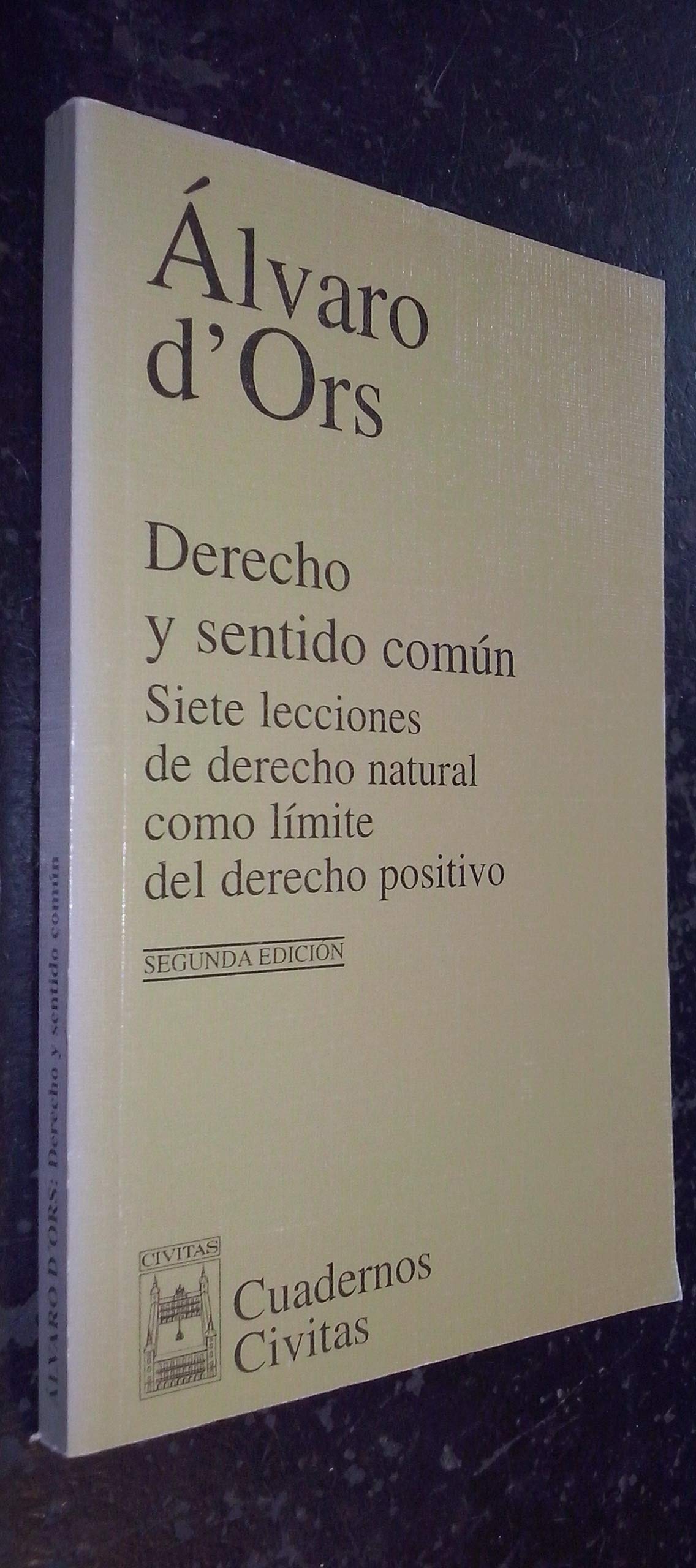 Derecho y sentido común: siete lecciones de derecho natural como límite del derecho positivo Books