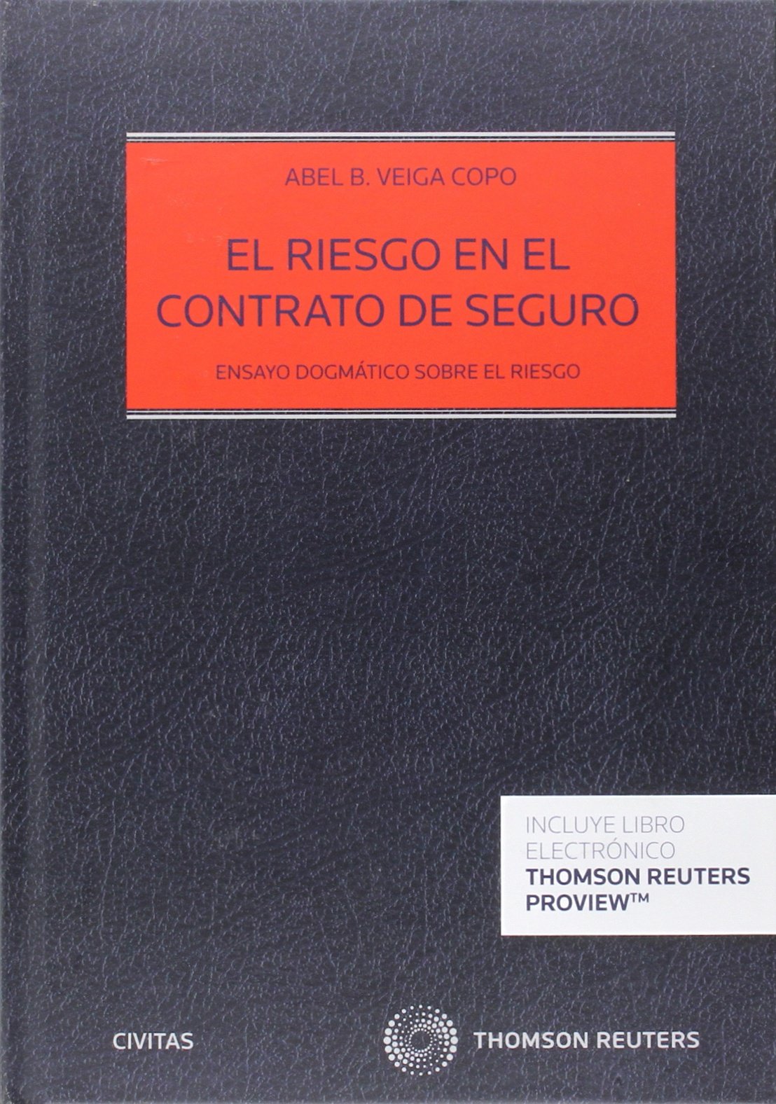 El riesgo en el contrato de seguro - (Papel + e-book): Ensayo dogmático sobre el riesgo book