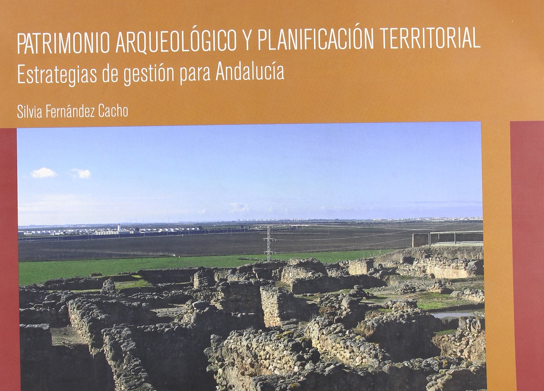 PATRIMONO ARQUEOLOGICO Y PLANIFICACION TERRITORIAL: ESTRATEGIAS DE GESTION PARA ANDALUCIA: Estrategias de gestión para Andalucía (Serie Historia y Geografía, Band 143) Law