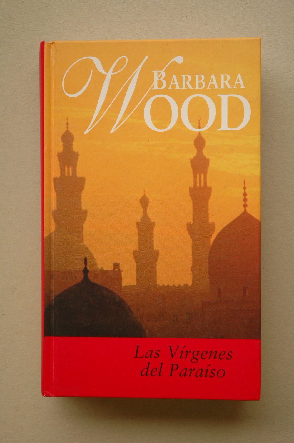 LAS VIRGENES DEL PARAISO book