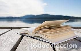 Las Siete Claves De La Curación book