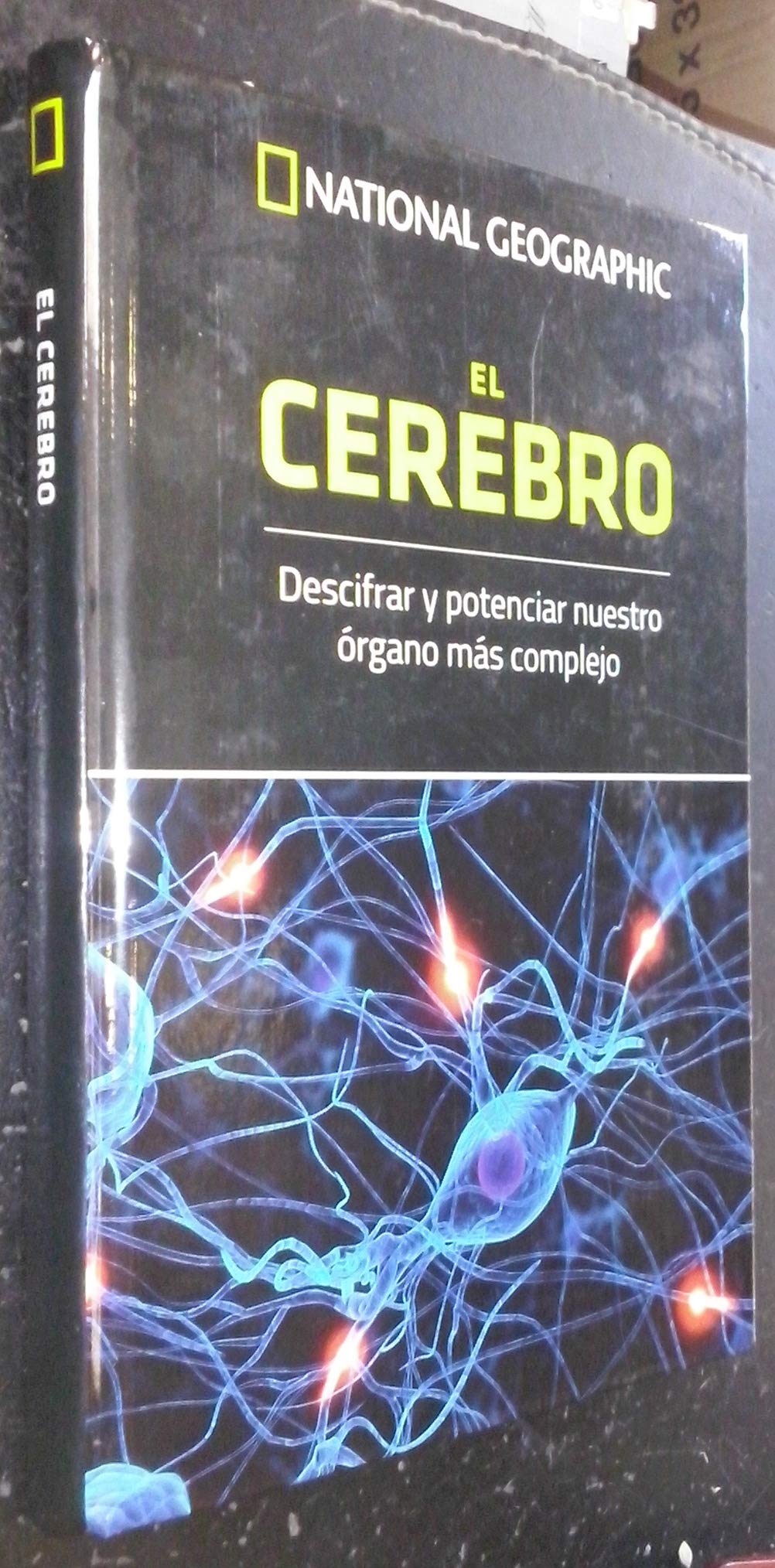 El cerebro: descifrar y potenciar nuestro órgano más complejo Books