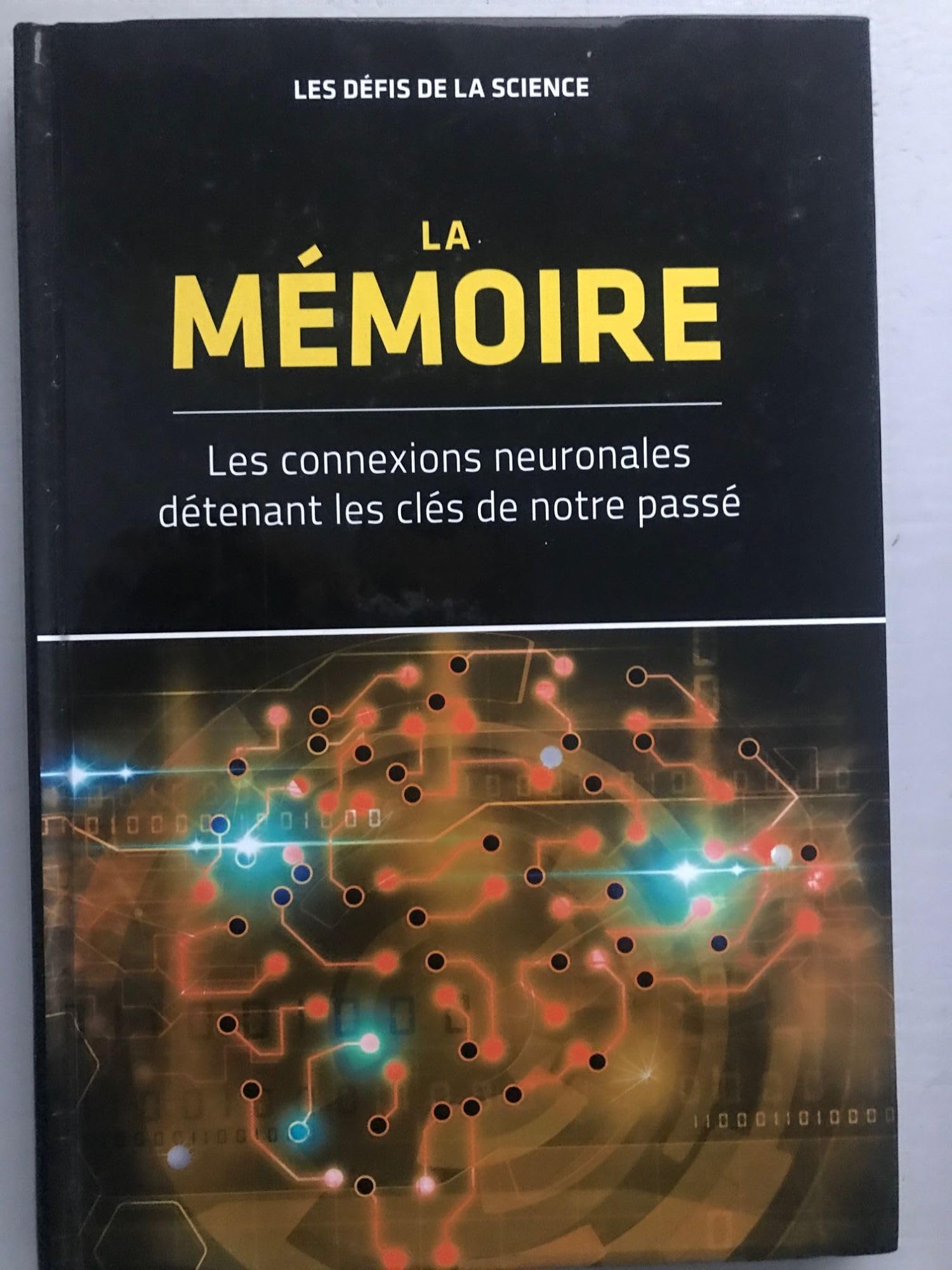l'émulation cérébrale la modélisation de notre esprit Books