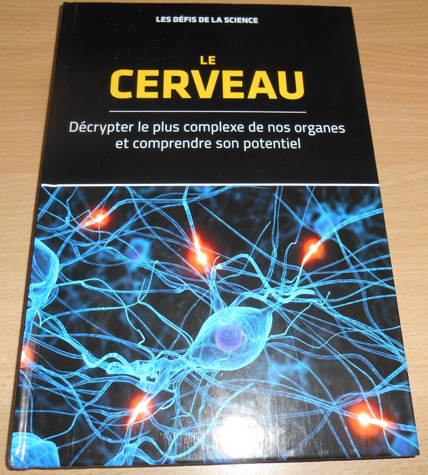 les défis de la science le cerveau décrypter le plus complexe de nos organes et comprendre son potentiel Books