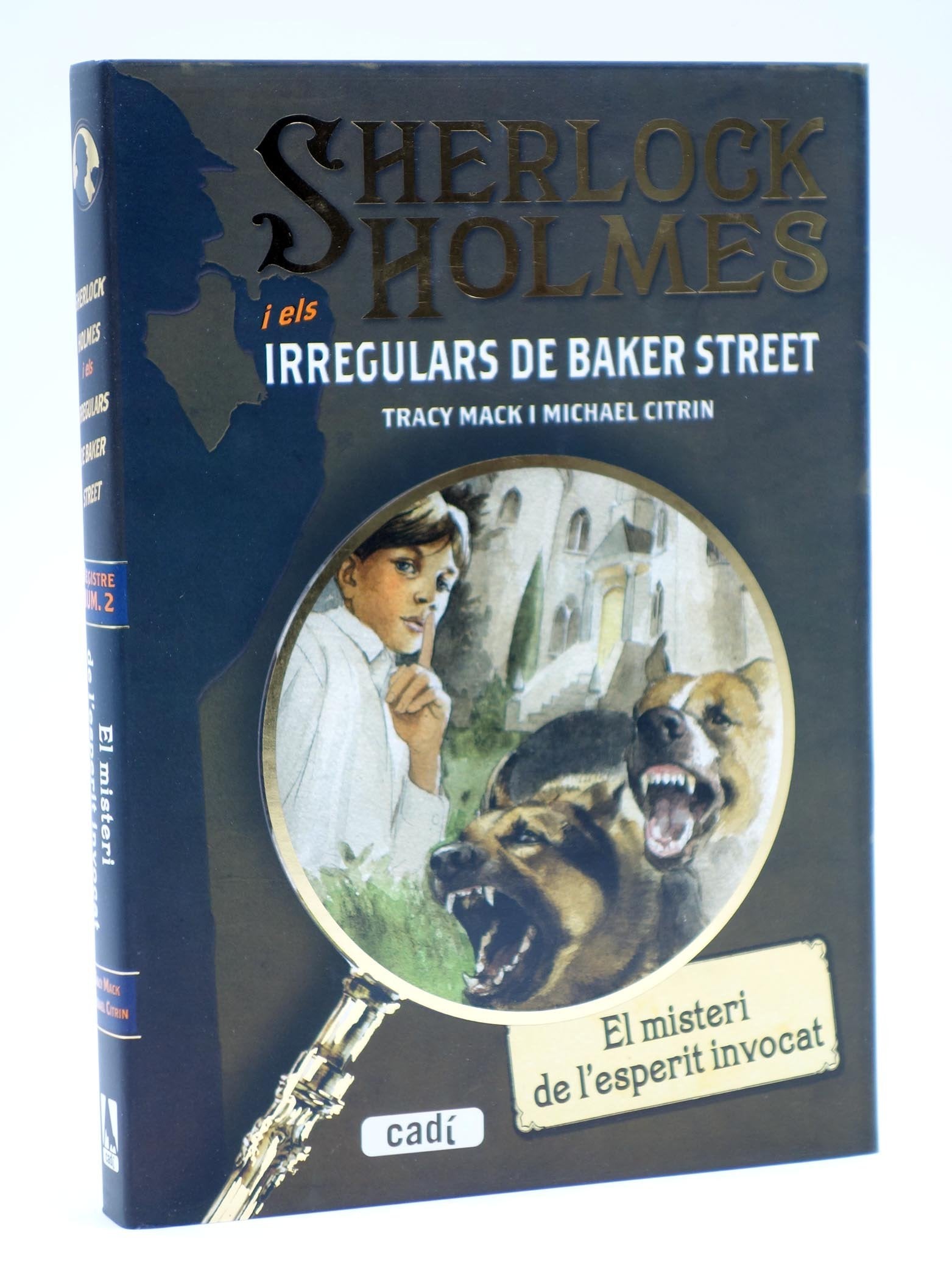 Sherlock Holmes i els irregulars de Baker Street. El misteri de l'esperit invocat book