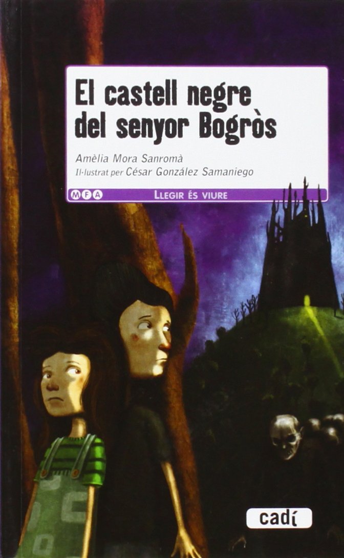 El castell del senyor Bogròs Social Sciences