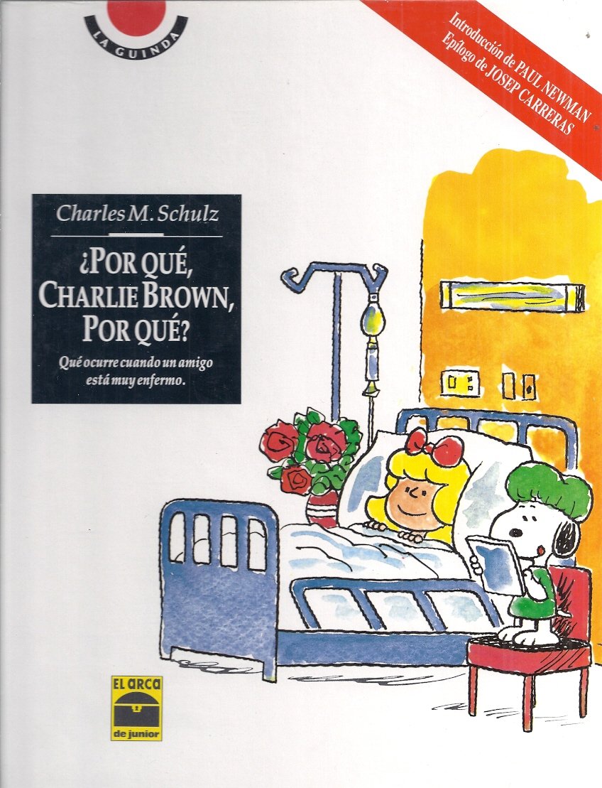 ¿por que, charlie brown, por que? dvd