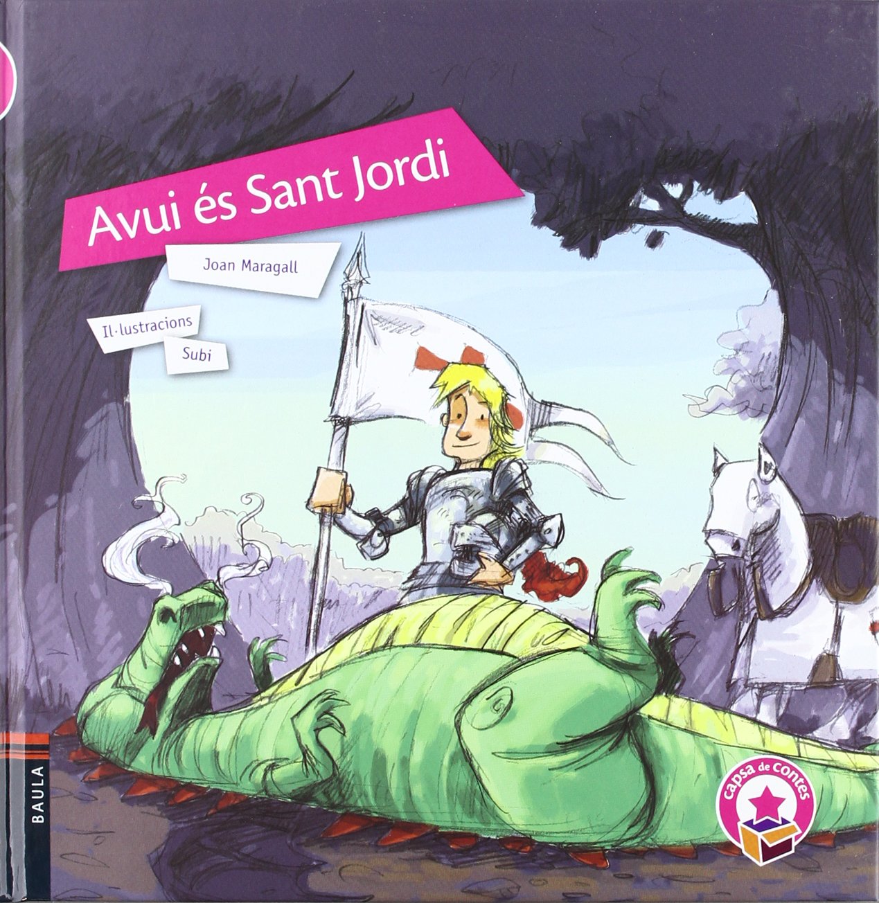 Avui és Sant Jordi book