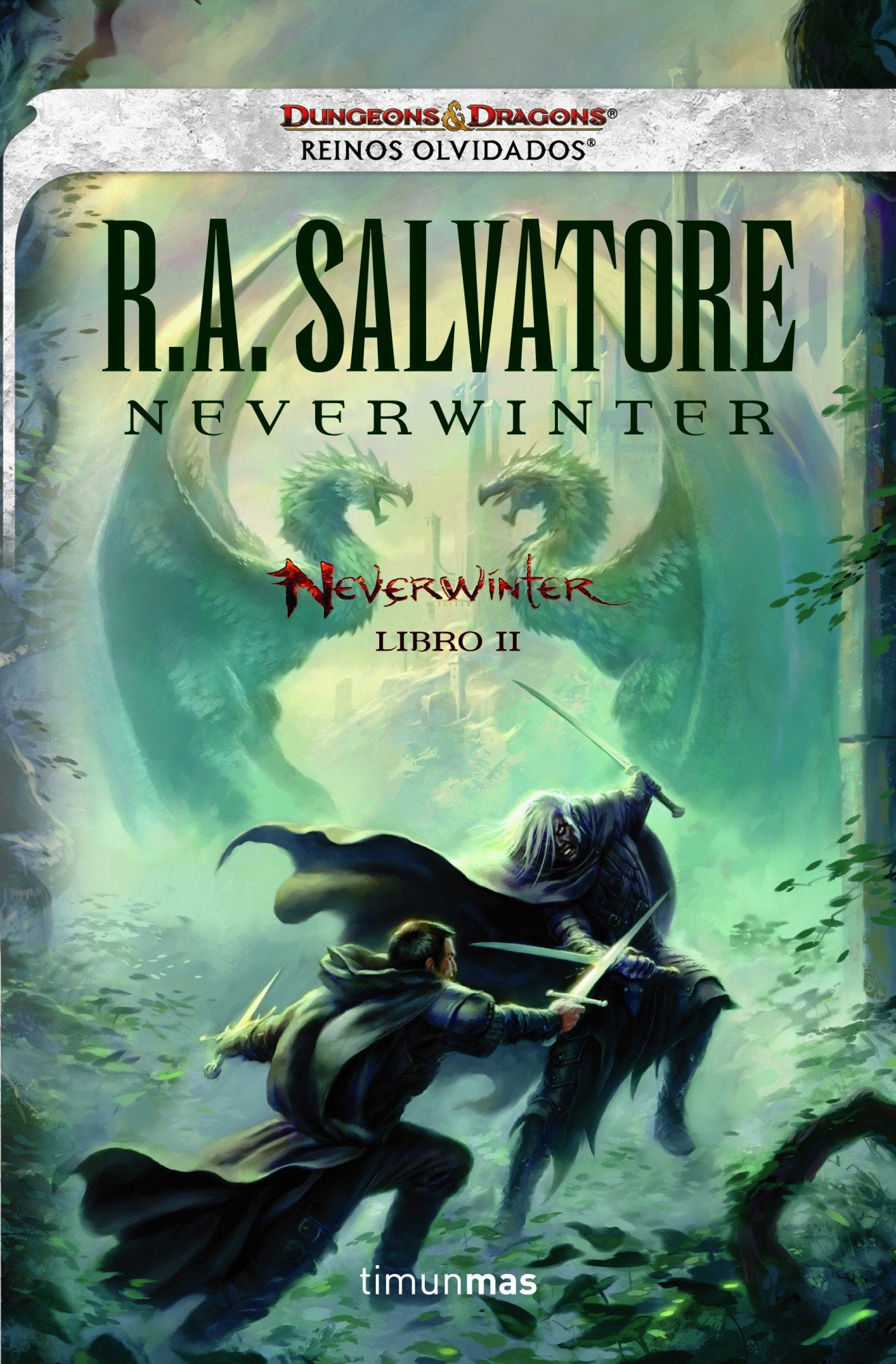 Reinos olvidados II. Neverwinter: Reinos Olvidados. Libro II Contemporary literature