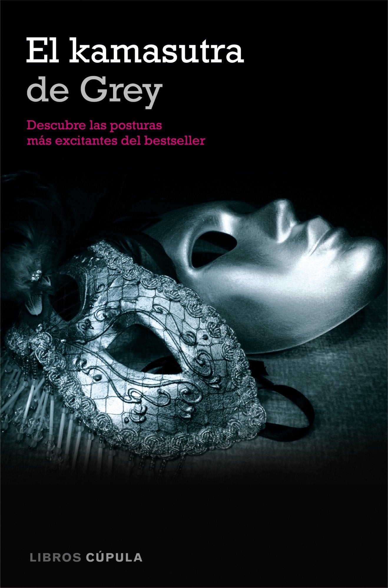 El kamasutra de Grey: Descubre las posturas más excitantes del bestseller book