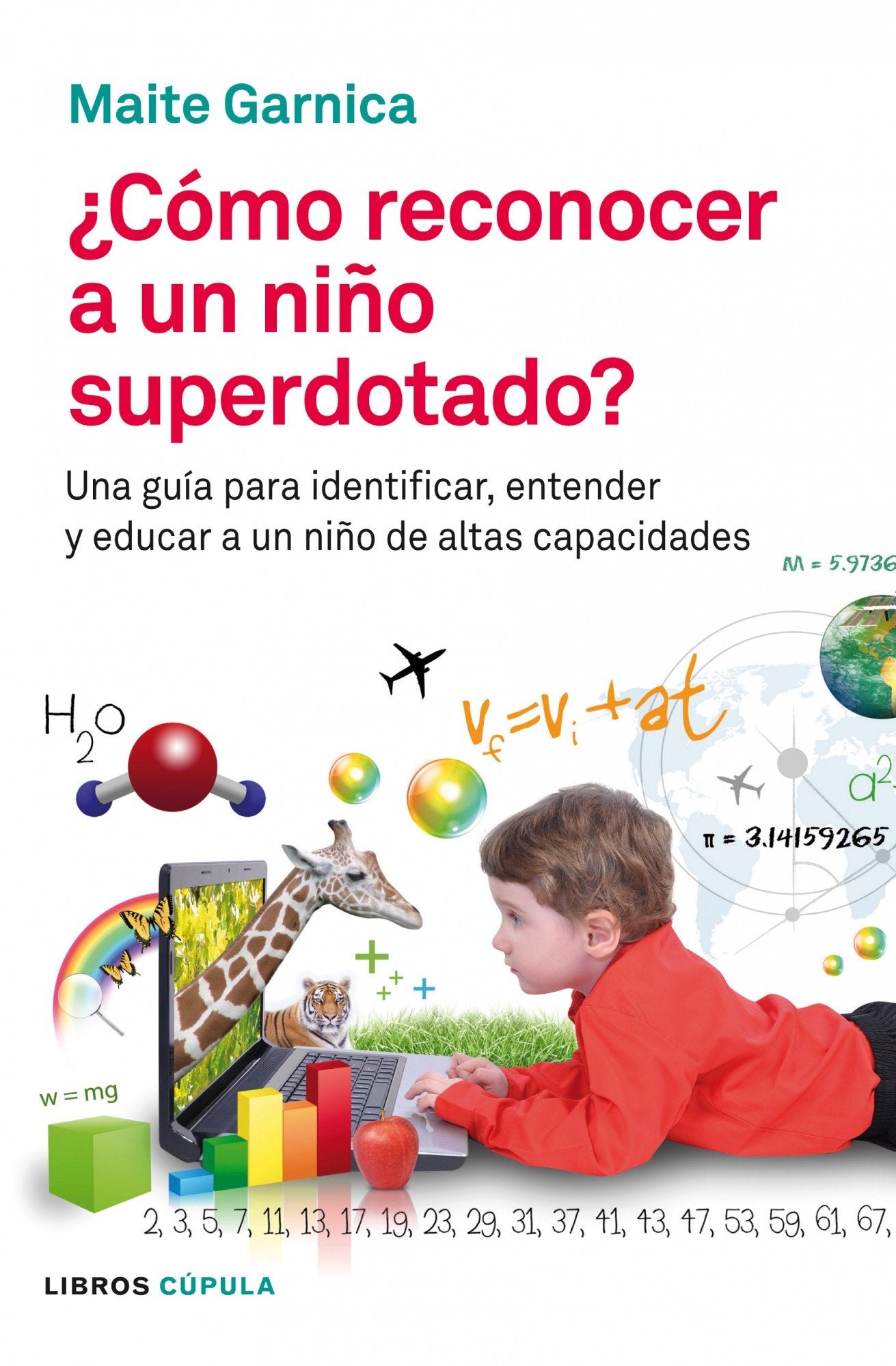 Cómo reconocer a un niño superdotado: Una guía para identificar, entender y educar a un niño de altas capacidades book