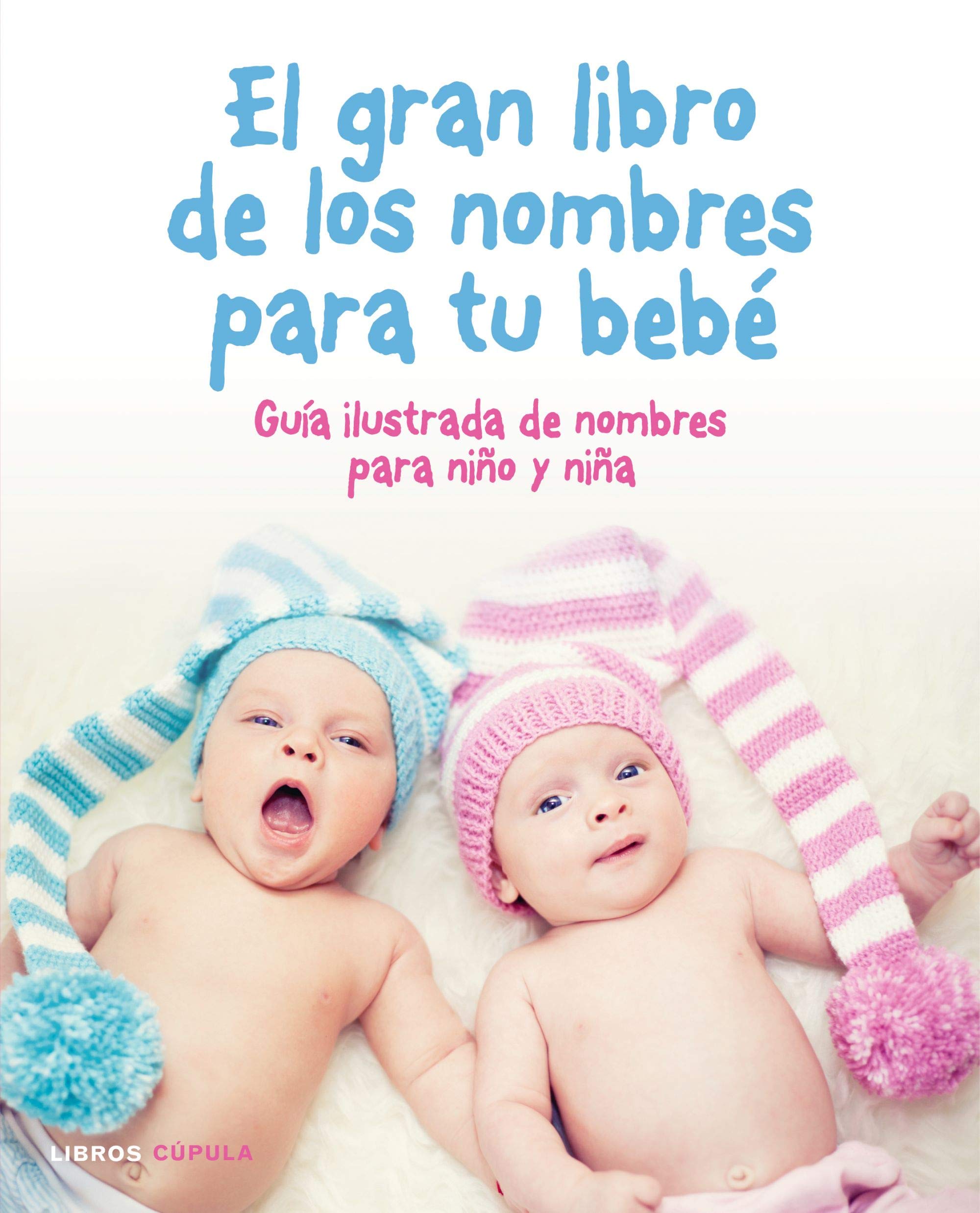 El gran libro de los nombres para tu bebé (Padres e hijos) Parents & Children