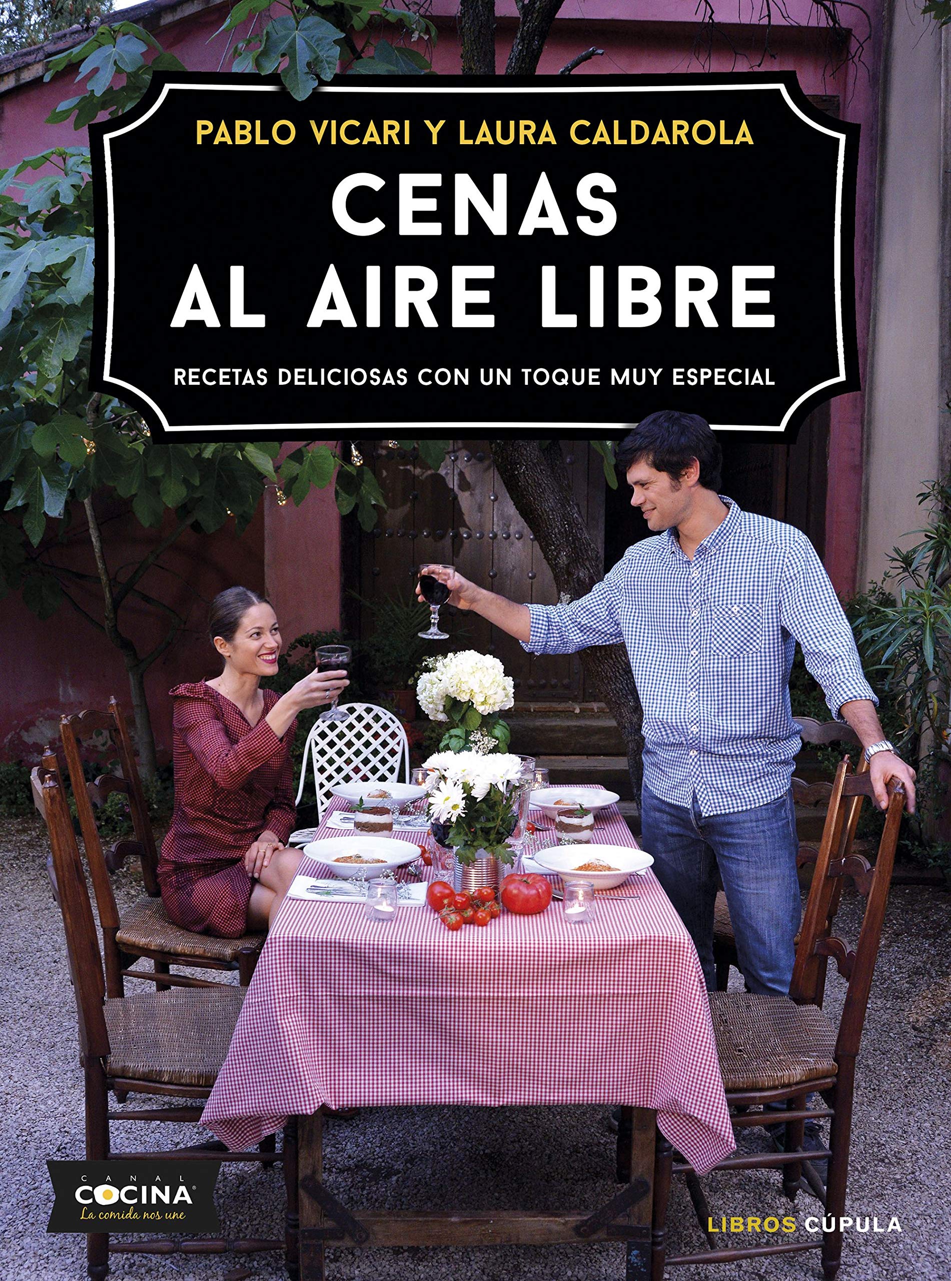 Cenas al aire libre: Recetas deliciosas con un toque muy especial book