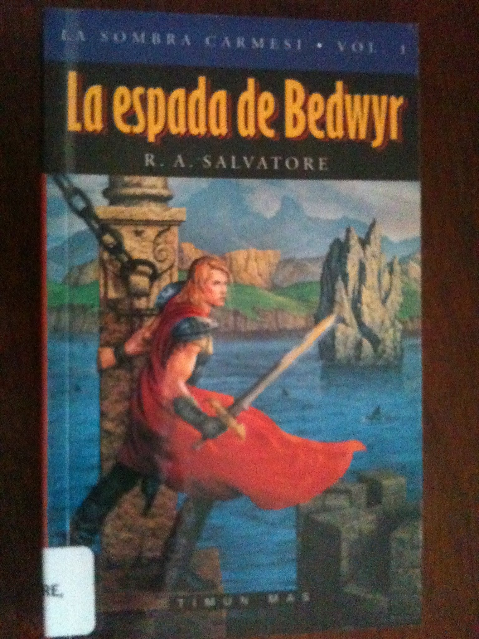 La espada de Bedwir / The Sword of Bedwyr book