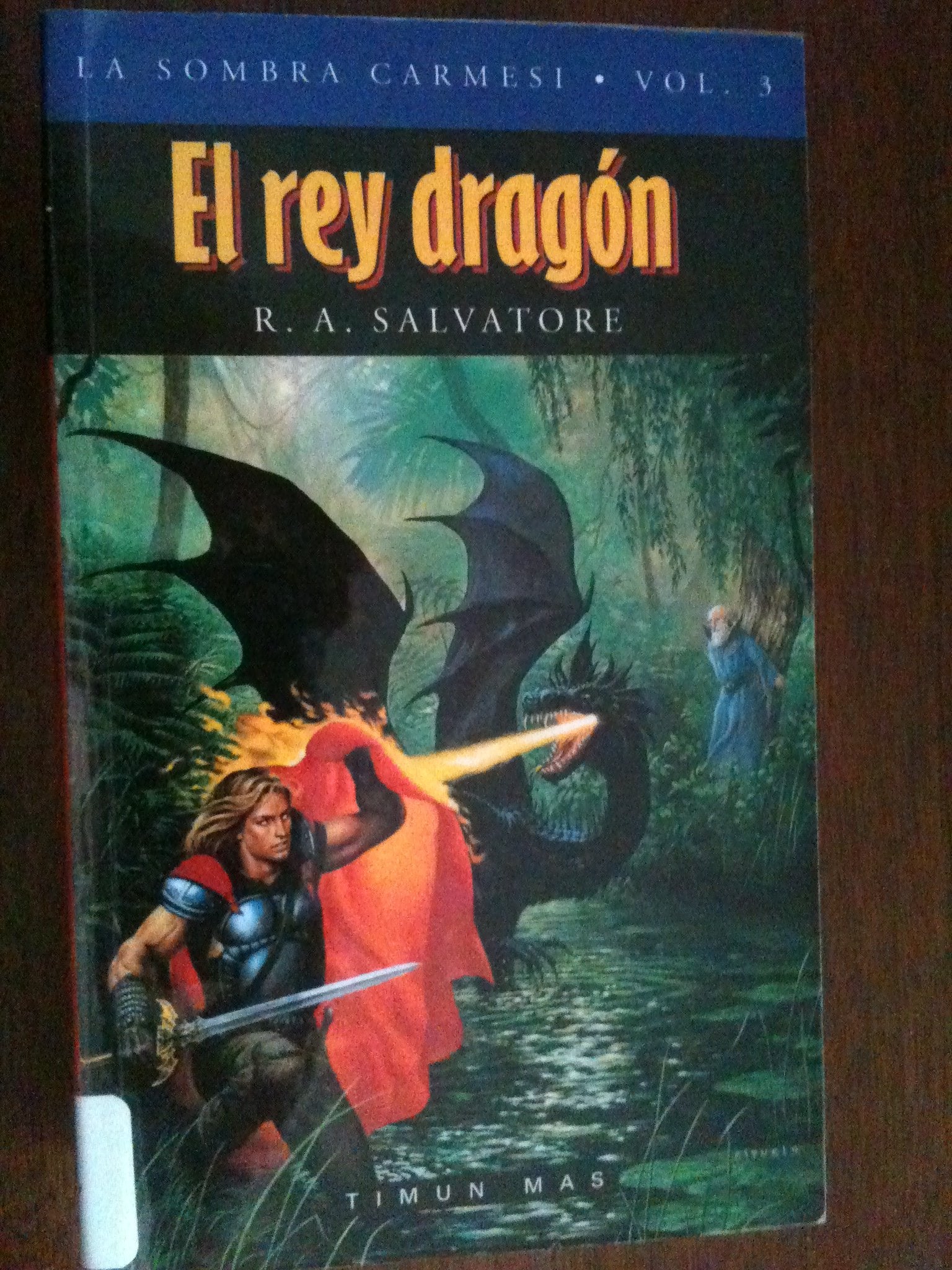 El rey dragon / The Dragon King book