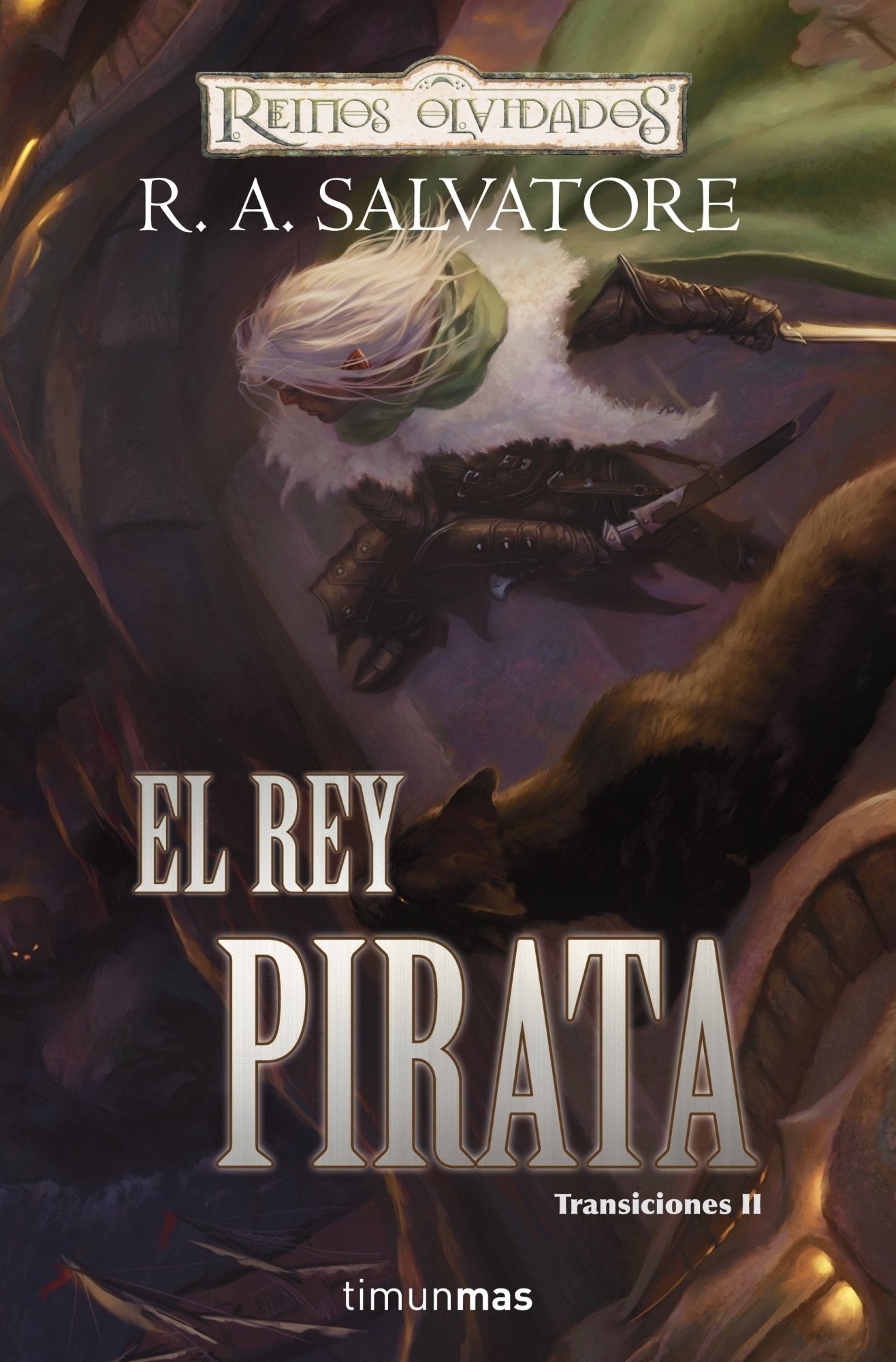 EL REY PIRATA (TRANSICIONES 02) REINOS OLVIDADOS Contemporary literature