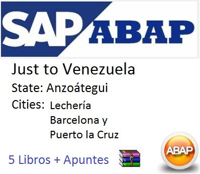 PROGRAMACIN EN ABAP 4 PARA SAP R 3 book