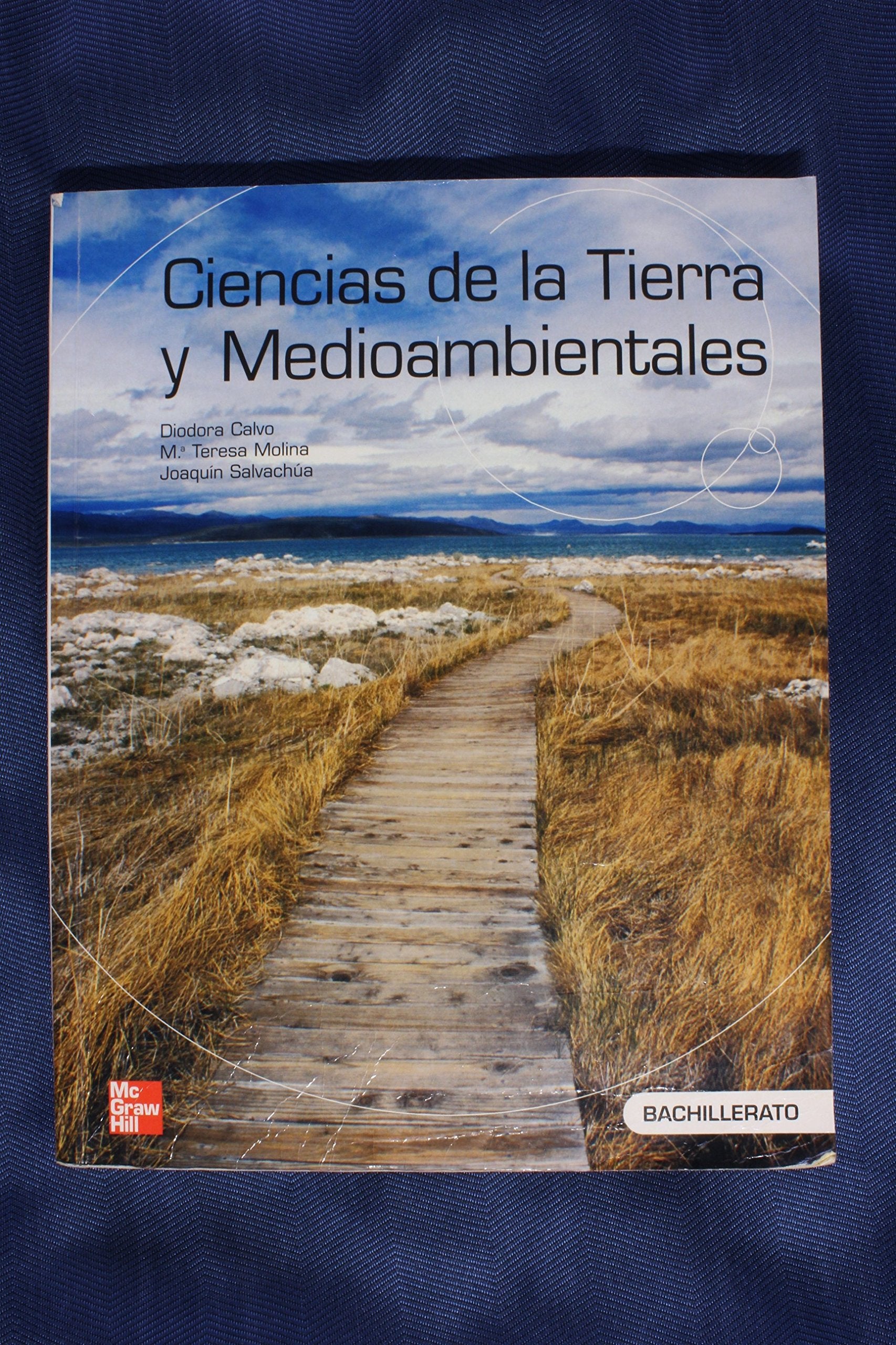 Ciencias de la tierra y medioambientales, bachillerato 2 book